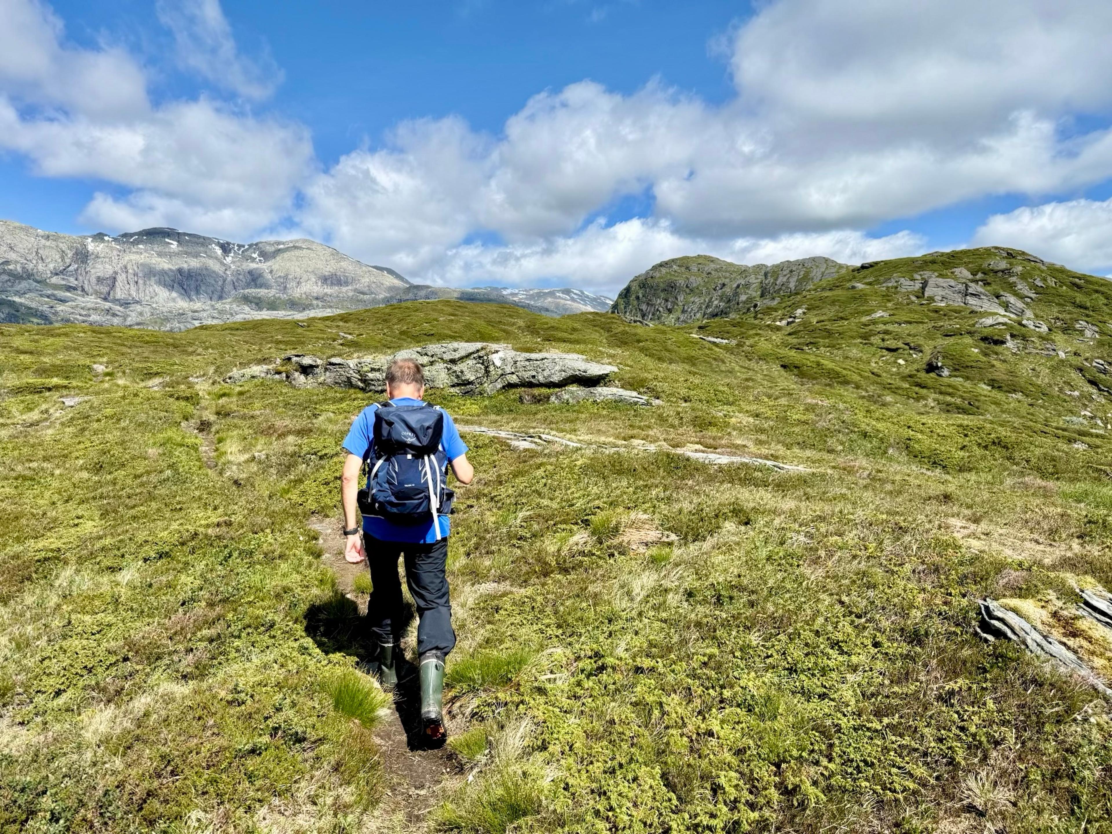 En turgåer i blå t-skjorte, sekk og gummistøvler følger en smal sti over gress og lyng mot en steinete kolle. Grå fjell med snøflekker til venstre.