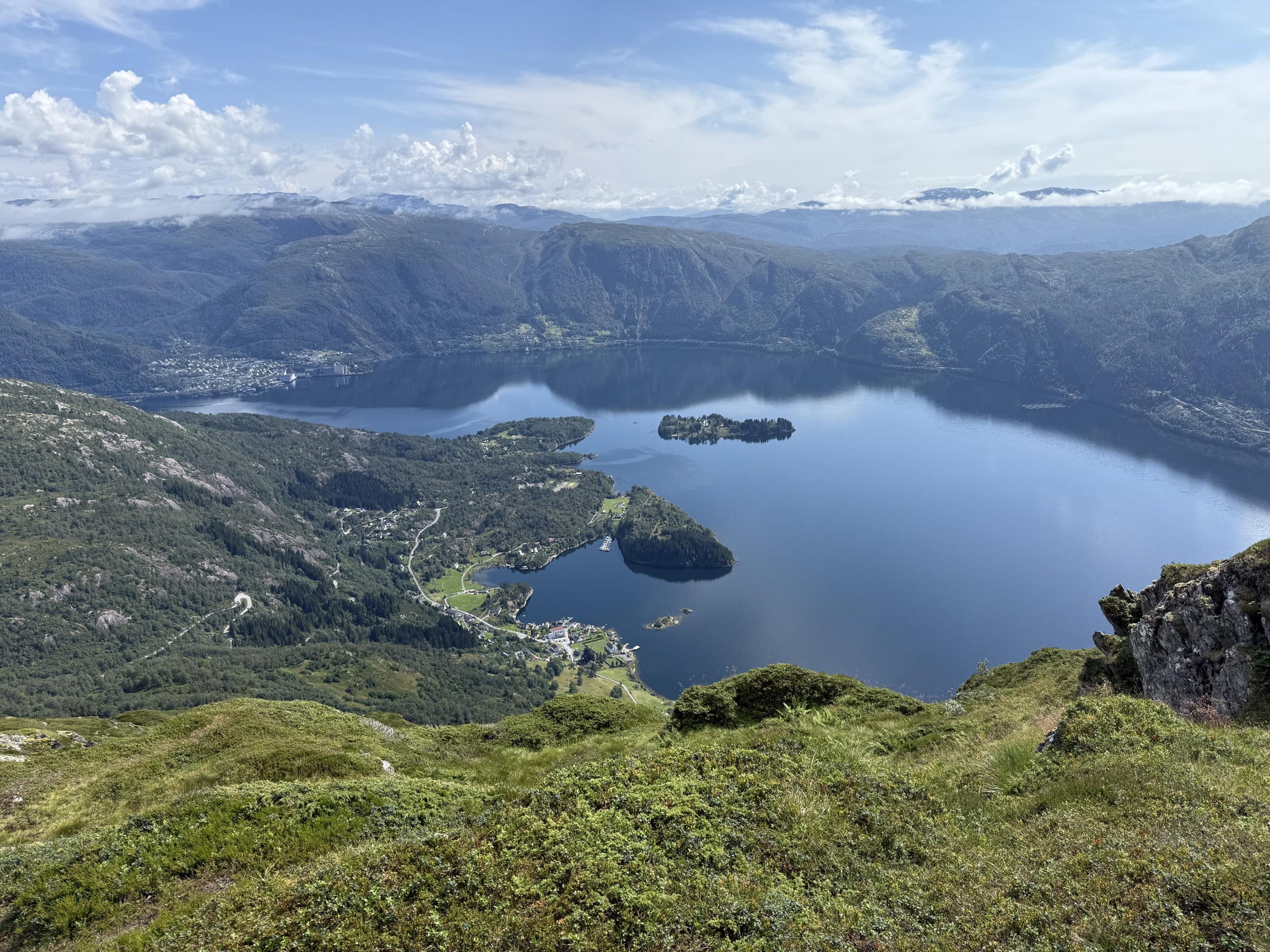 Utsikt fra lyngkledd fjellside ned på en bred fjord med en skogkledd øy, en bygd langs stranden nedenfor og bratte fjell på andre siden.
