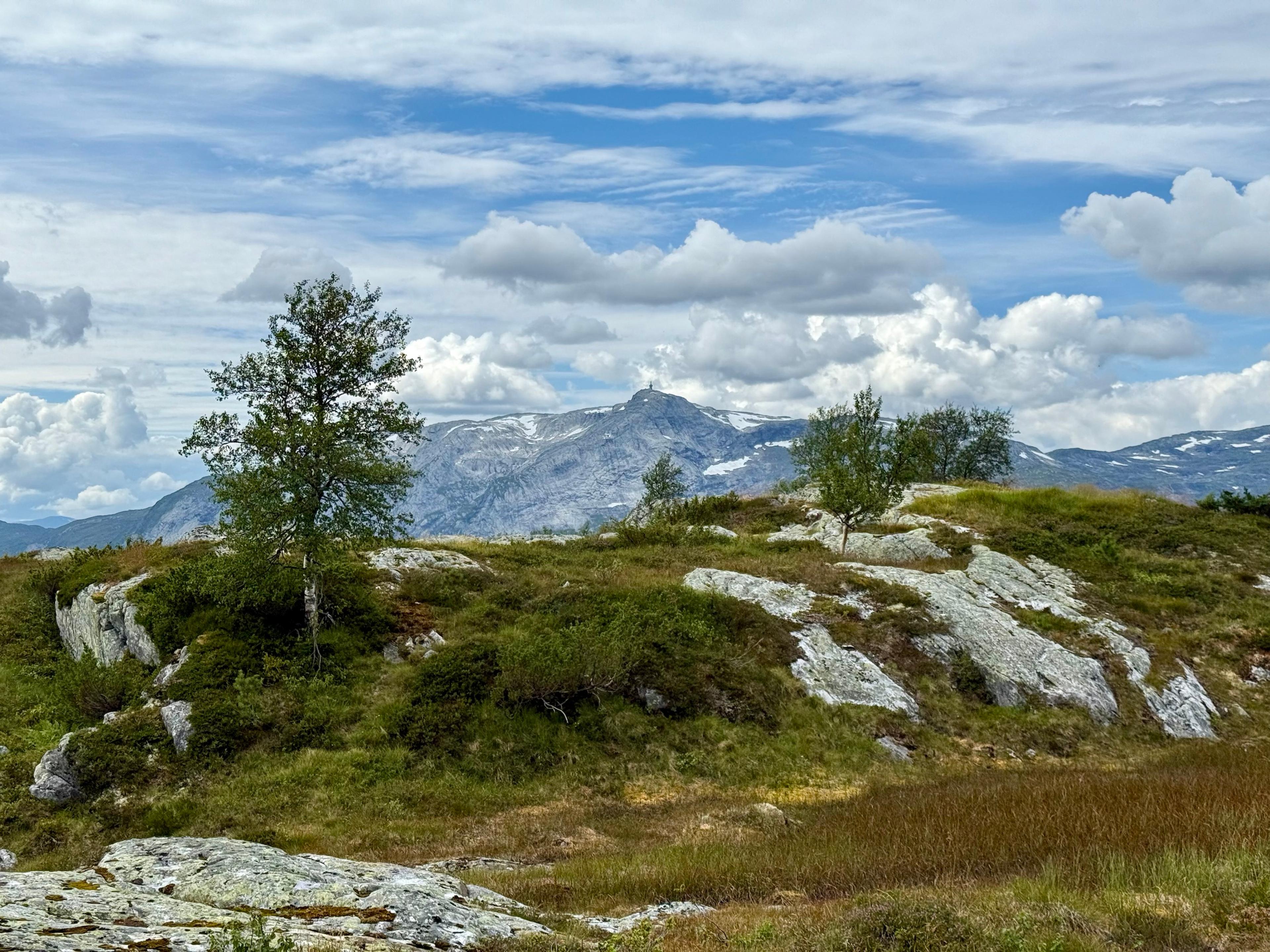 Lyng og berg med noen bjørker på en topp, med et høyt fjell med snøflekker og en mast på toppen i bakgrunnen.