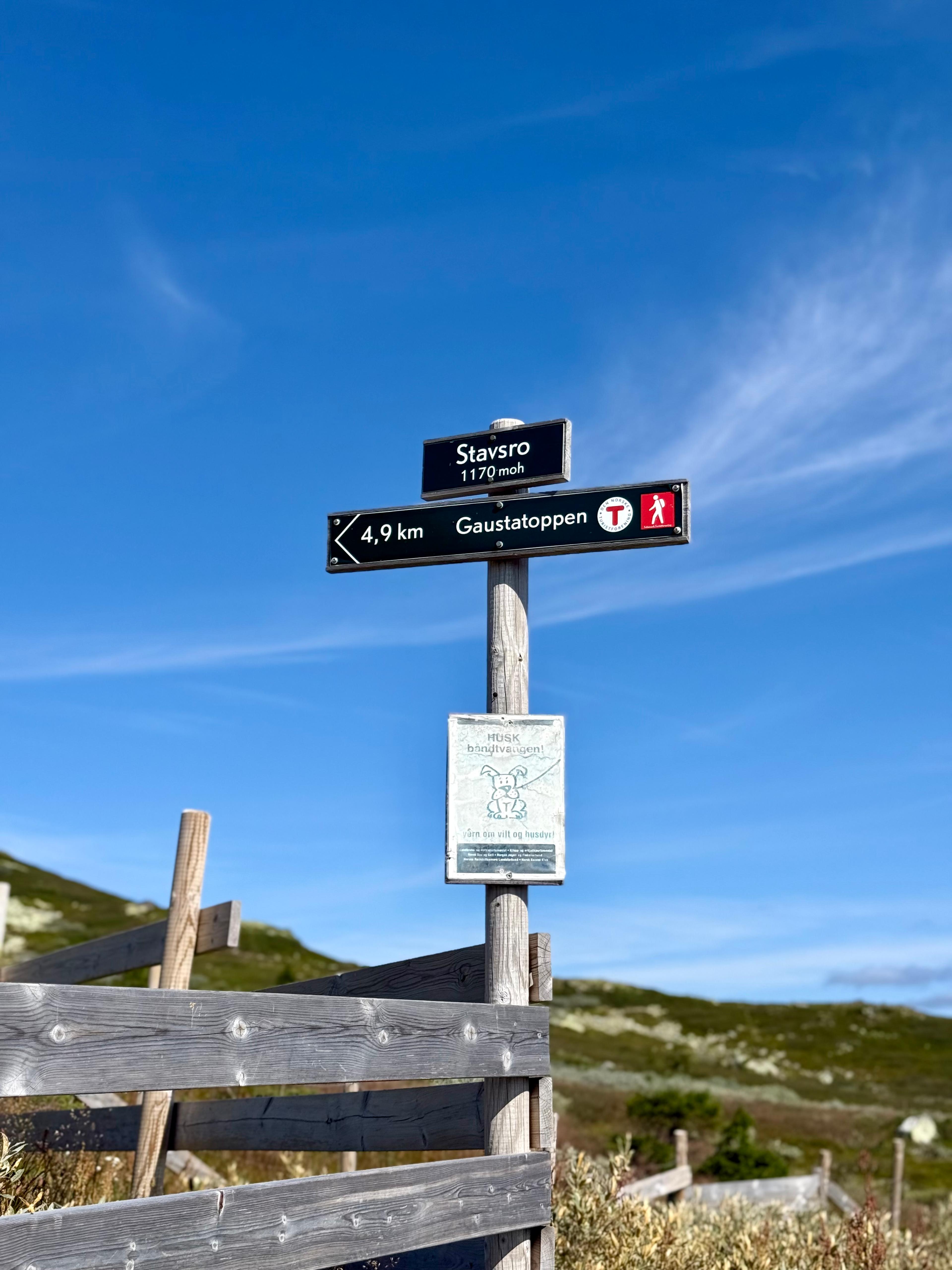 Skilt på stolpe ved Stavsro, 1170 moh., med pil mot Gaustatoppen 4,9 km og T-merket, under blå himmel.