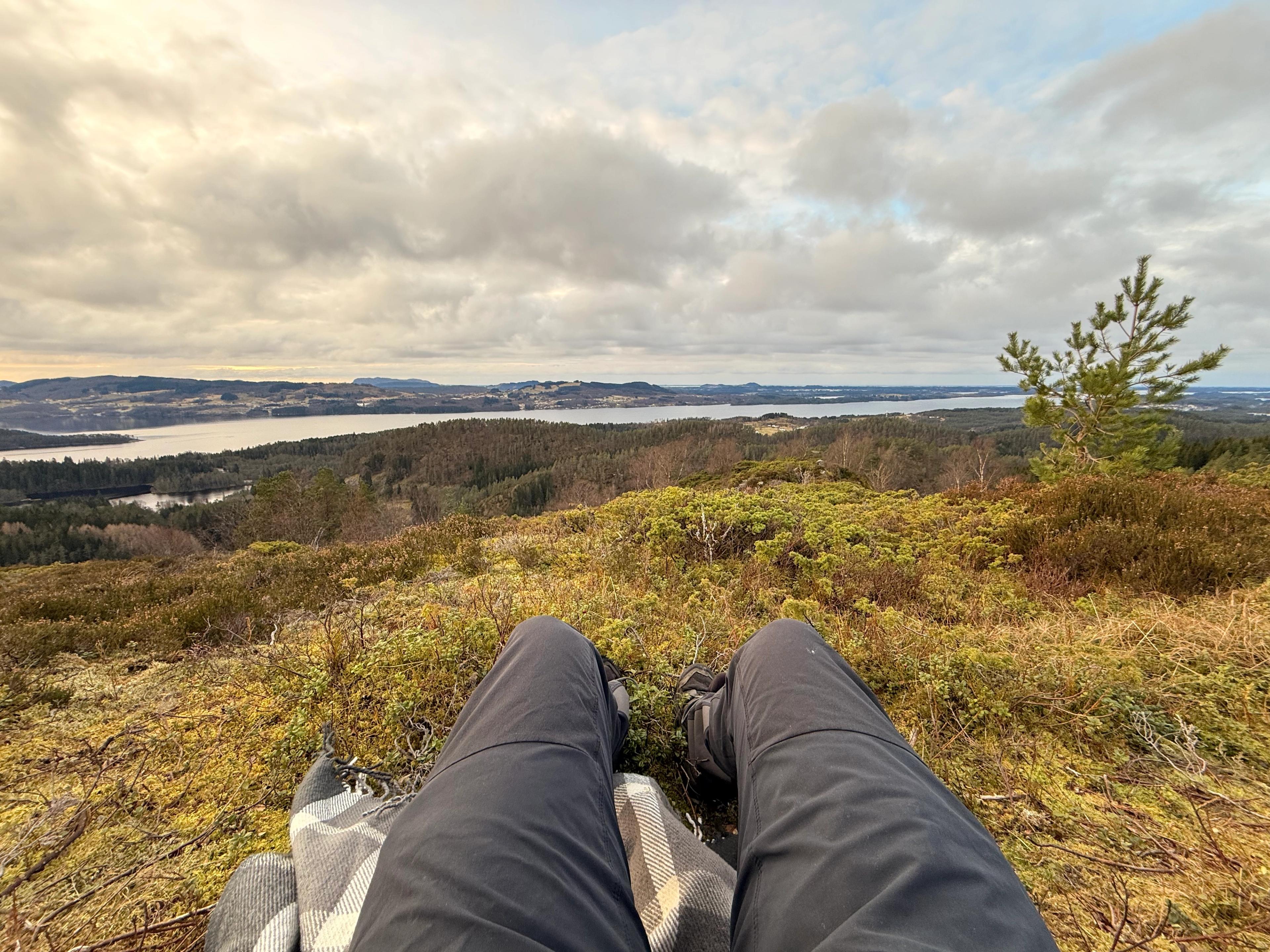 Utsikt fra lyngkledd topp over skog, et lite vann og en bred fjord med lave åser på andre siden, under grå skyer.