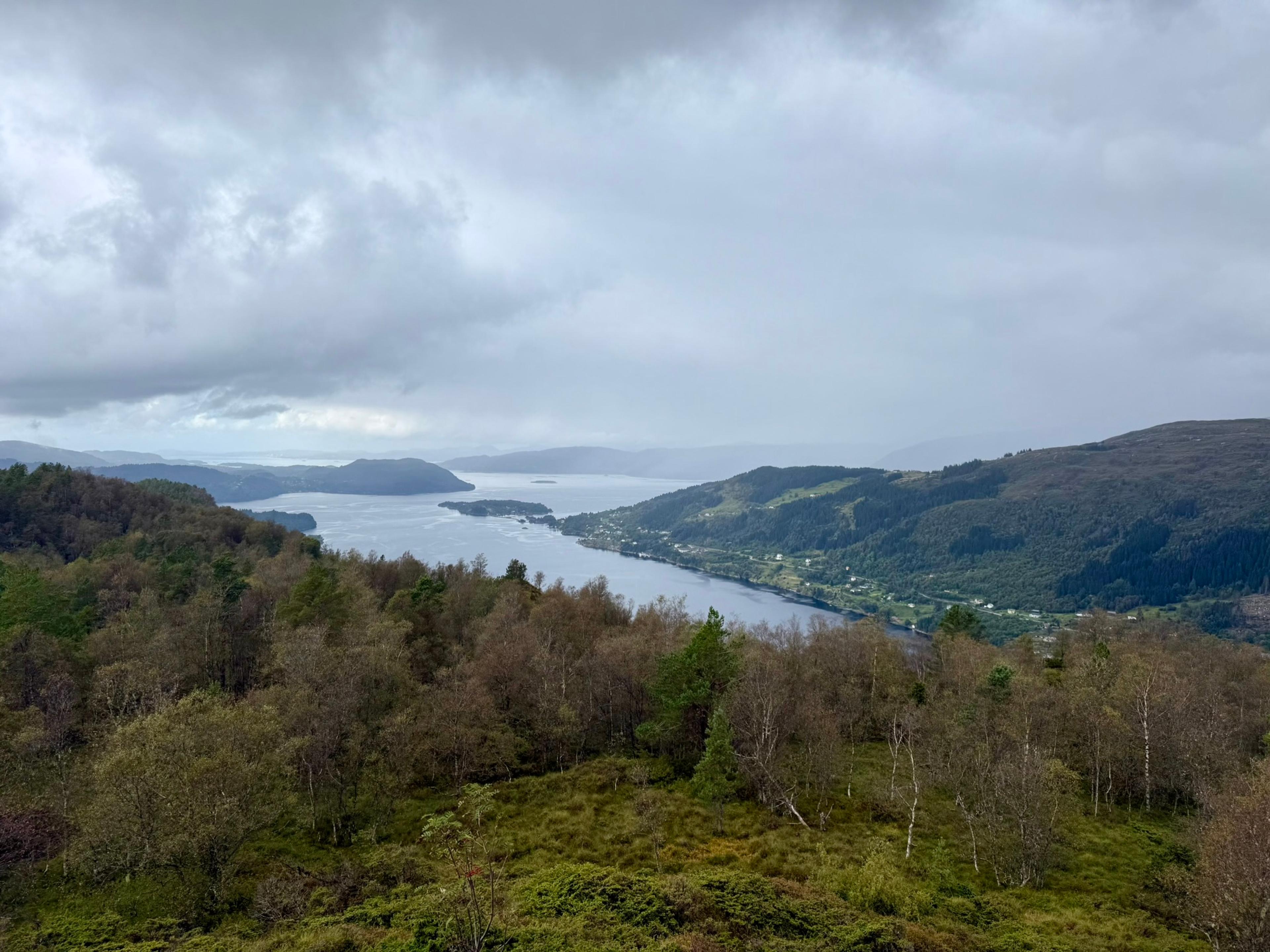 Utsikt over bjørkeskog ned på en bred fjord med en skogkledd holme, bebyggelse langs stranden til høyre og åser og øyer mot havet i det fjerne.