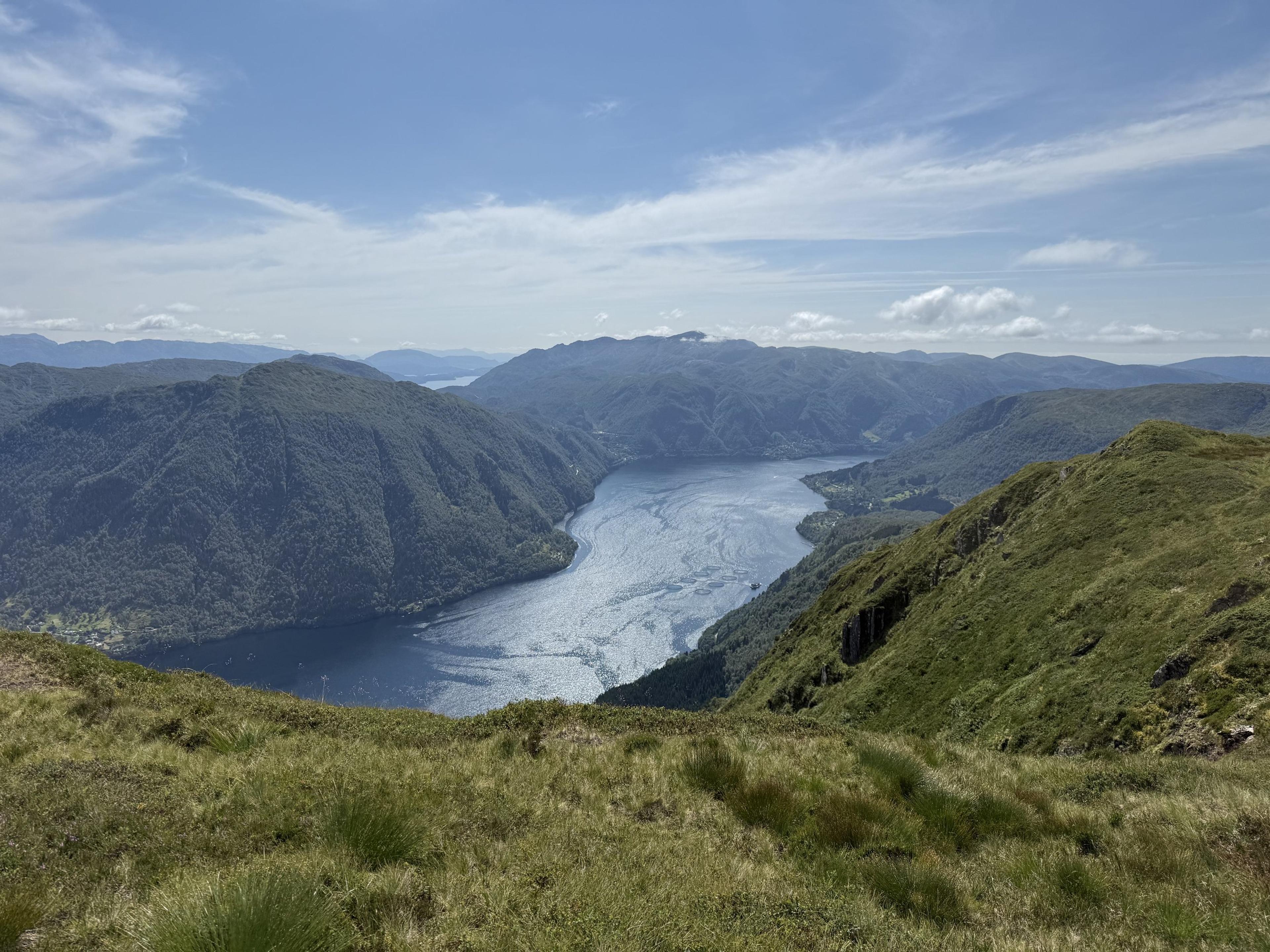 Utsikt fra gresskledd fjellrygg ned på en smal fjord mellom bratte, skogkledde fjell.