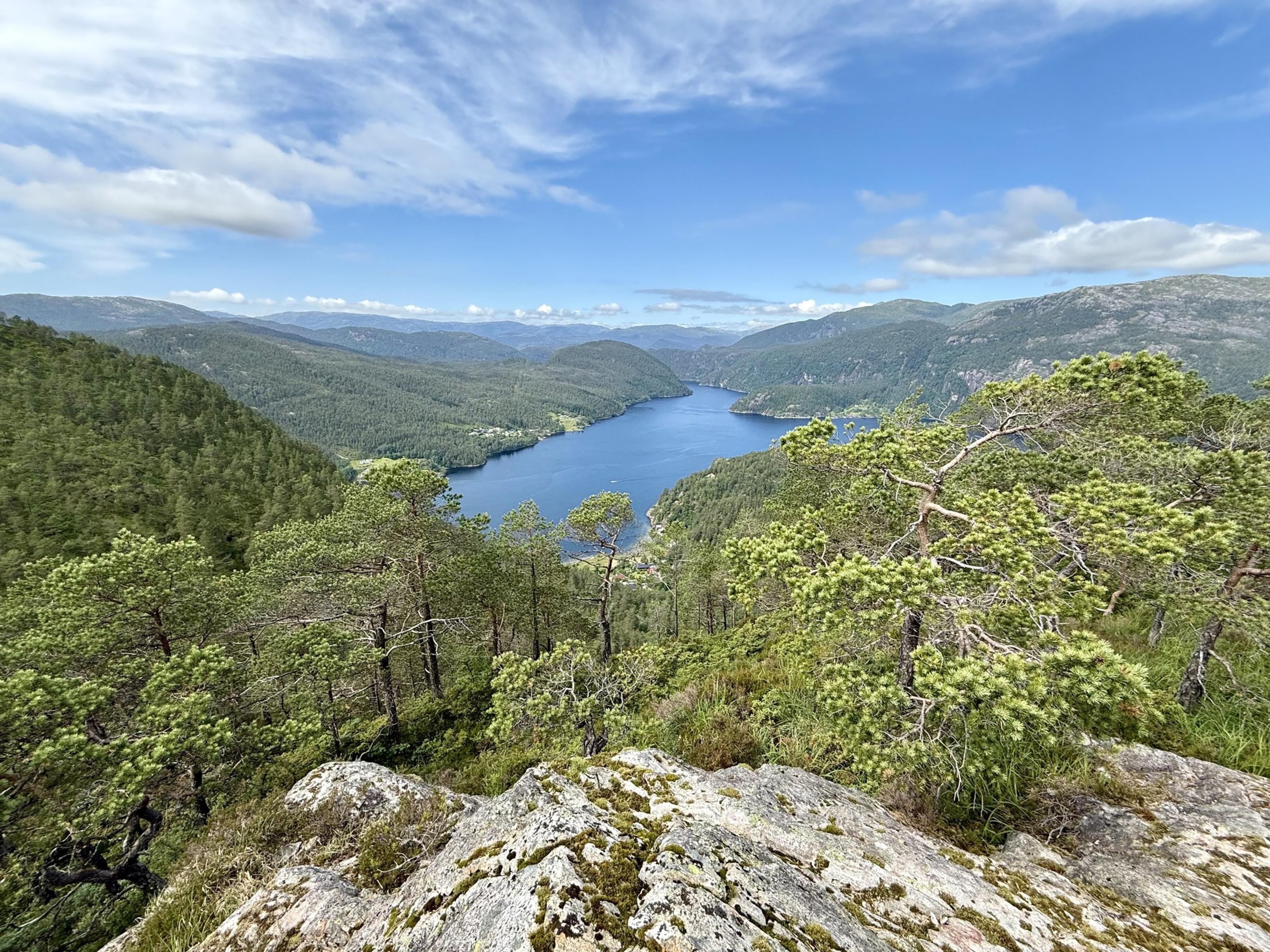 Utsikt fra en lavdekt bergknaus over lav furuskog ned på en blå fjord mellom skogkledde åser, under blå himmel med hvite skyer.