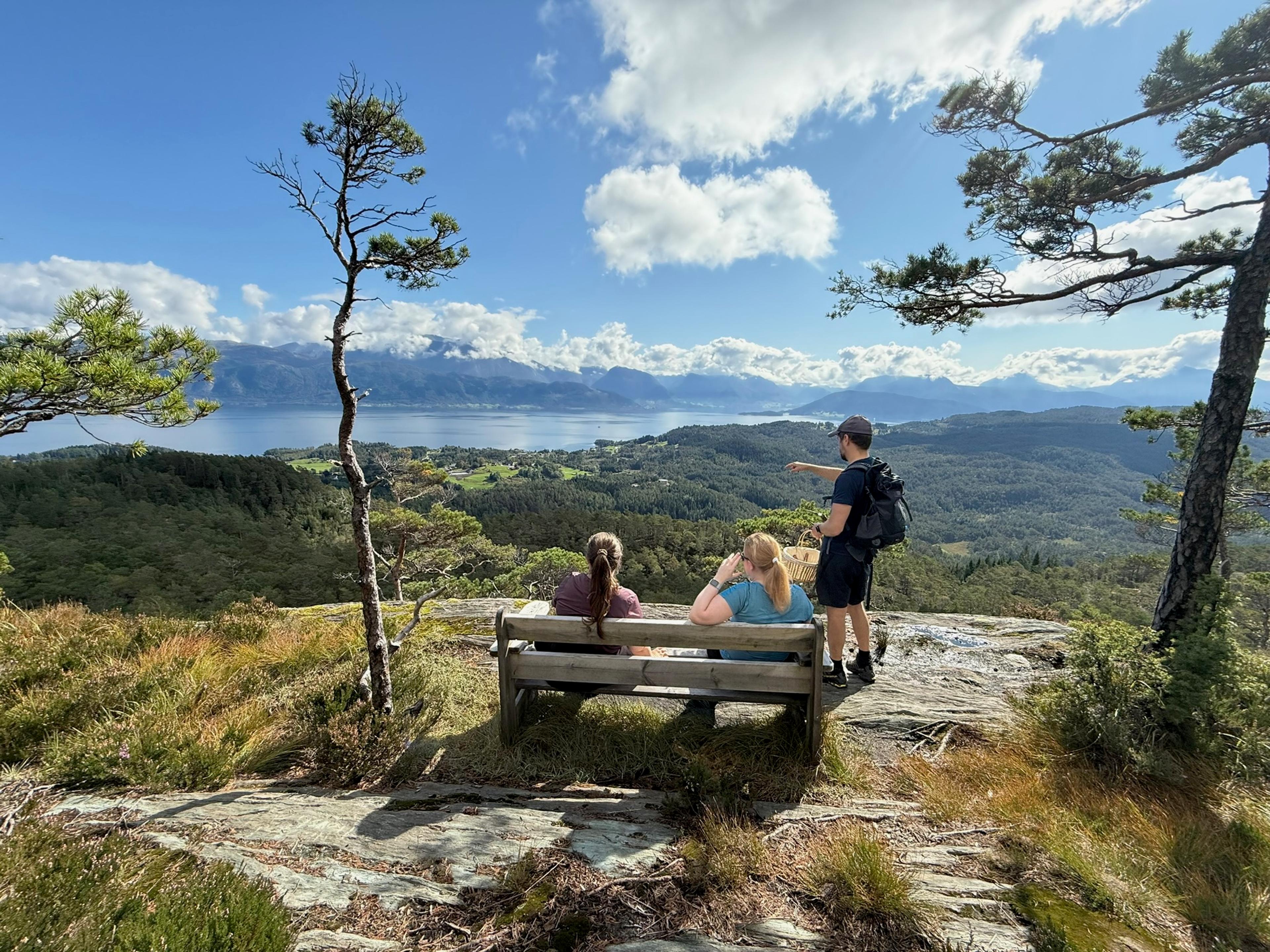 Turgåere på en benk på toppen av Hovdaberget med utsikt over fjorden.