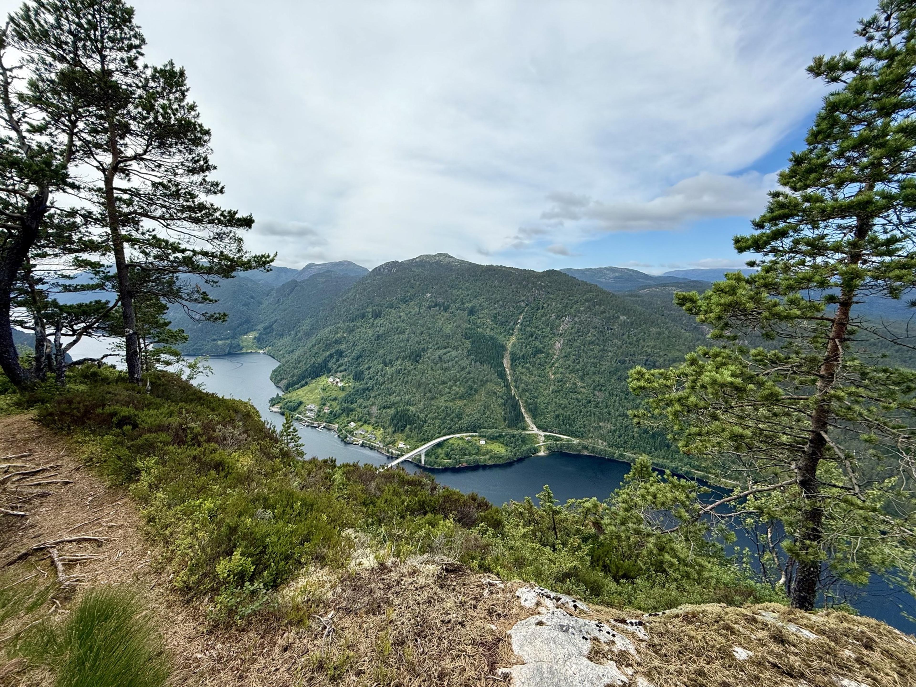 Sti over lyng og berg mellom furutrær på en fjellkant. Nedenfor ligger en fjord med en bro over, og skogkledde åser på den andre siden.