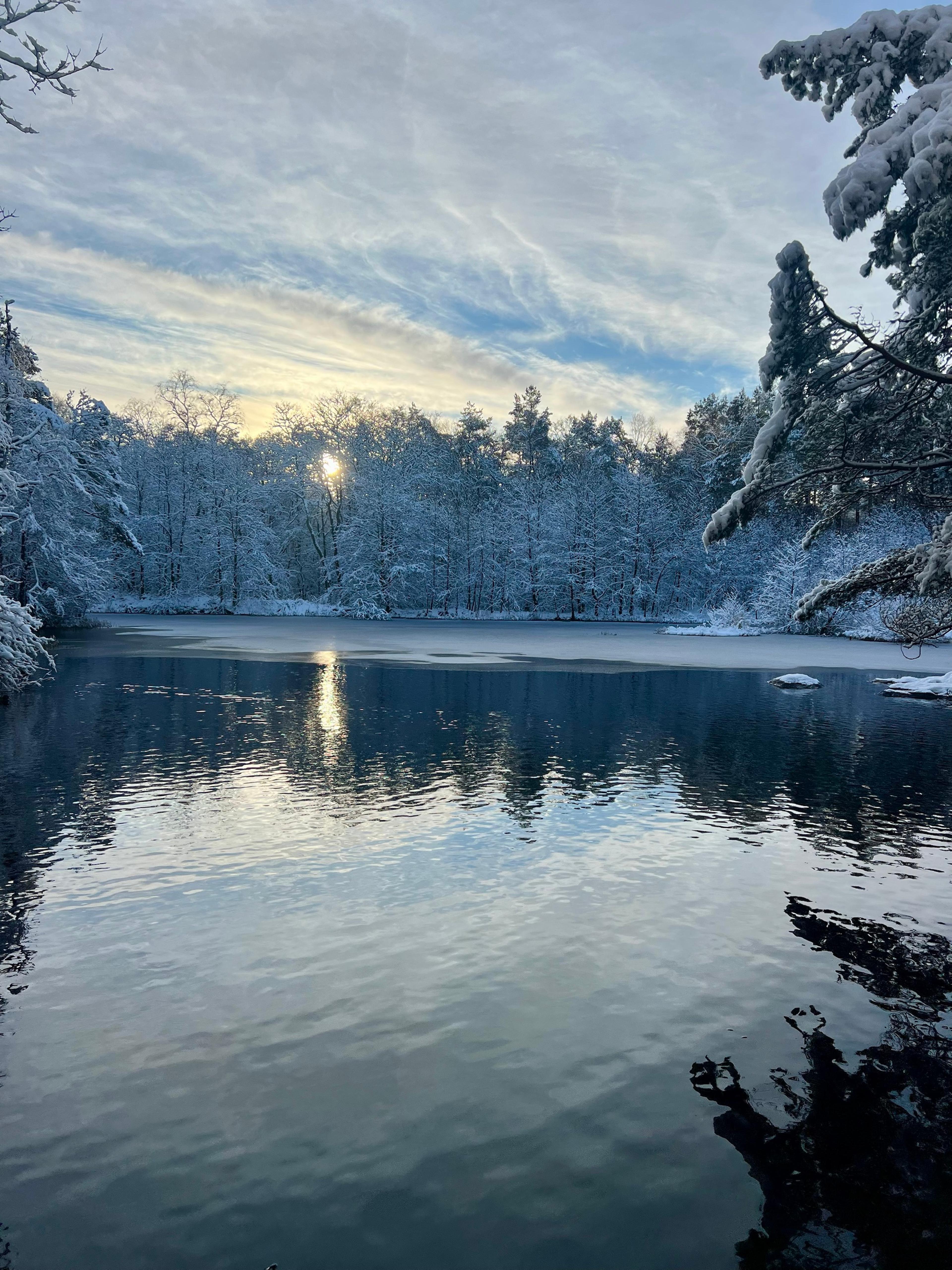 Delvis islagt tjern med snødekte trær rundt og solen lavt over skogen.