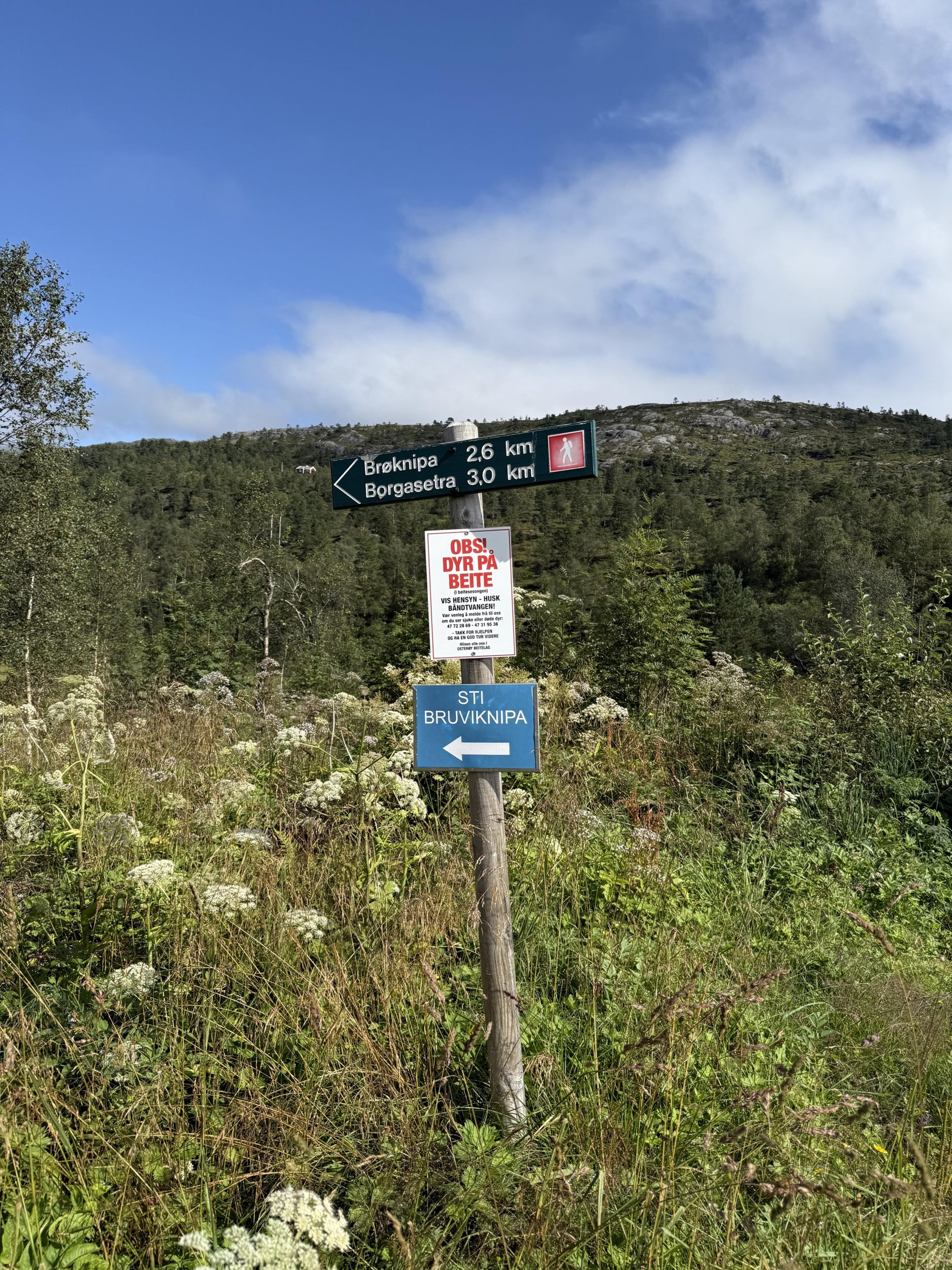 Veiskilt på en trestolpe i høyt gress: Brøknipa 2,6 km og Borgasetra 3,0 km, et skilt om dyr på beite og et blått skilt med teksten «Sti Bruviknipa».