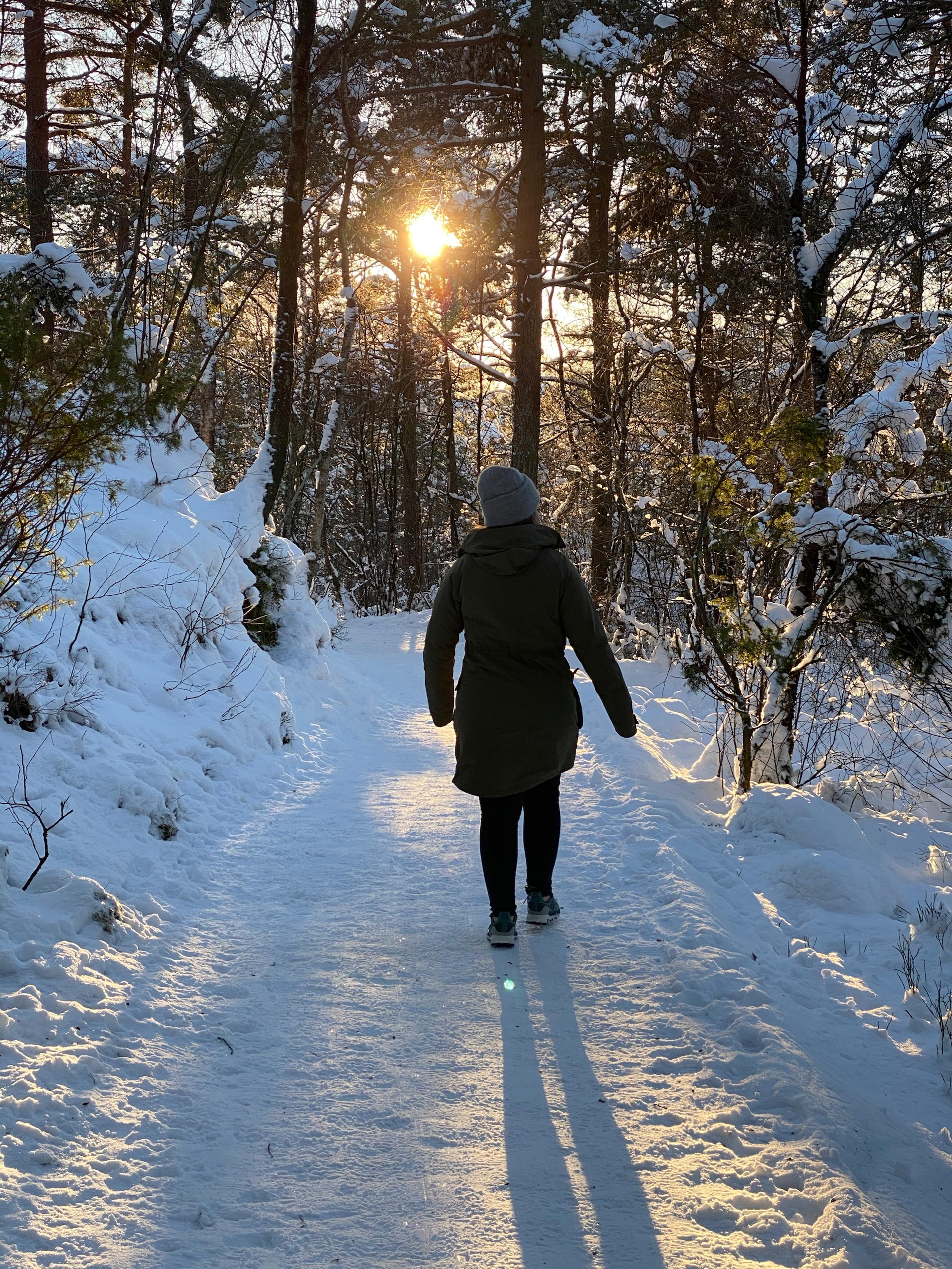 En person i mørk parkas og lue går på en snødekt grussti mellom furutrær i motlys.