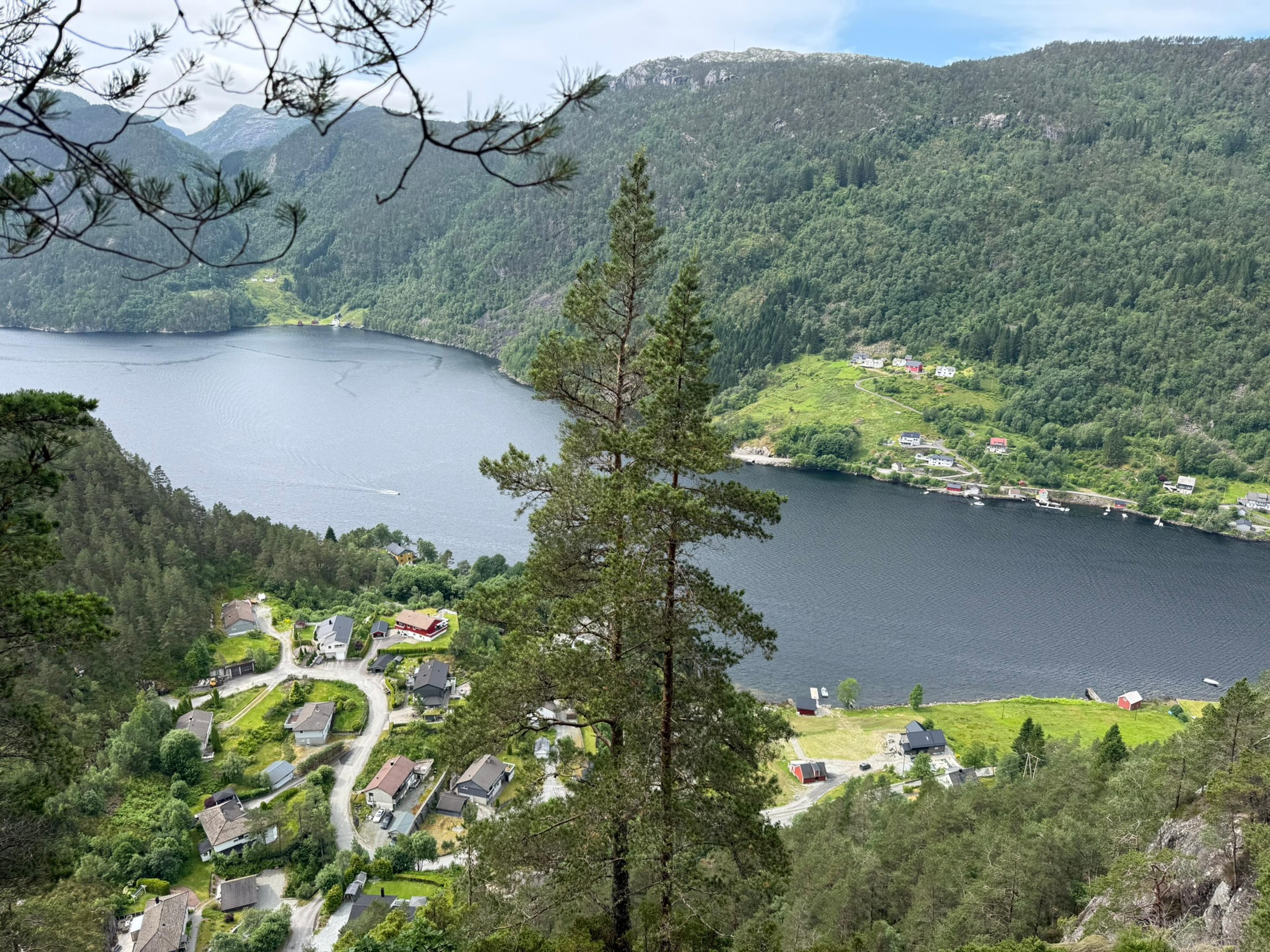 Utsikt gjennom to høye furutrær ned på hus langs en svingete vei ved fjorden, med gårder og en bratt, skogkledd fjellside på den andre siden.