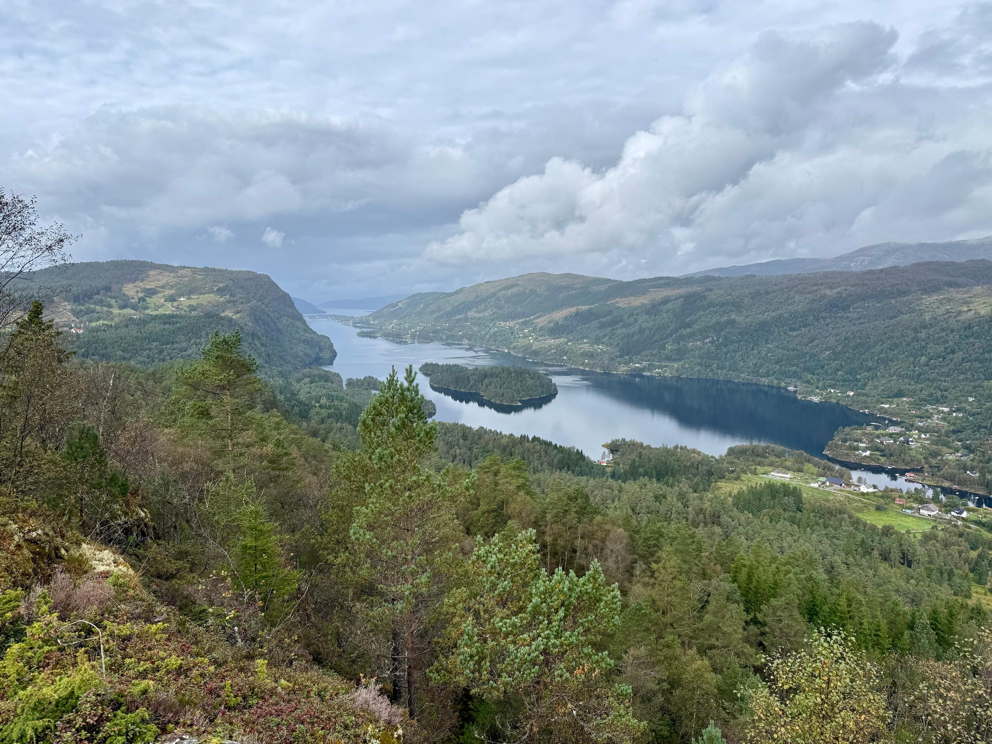 Utsikt ned over furuskog mot en blank fjordarm med en skogkledd holme, gårder langs stranden og åser på begge sider under tunge, lyse skyer.
