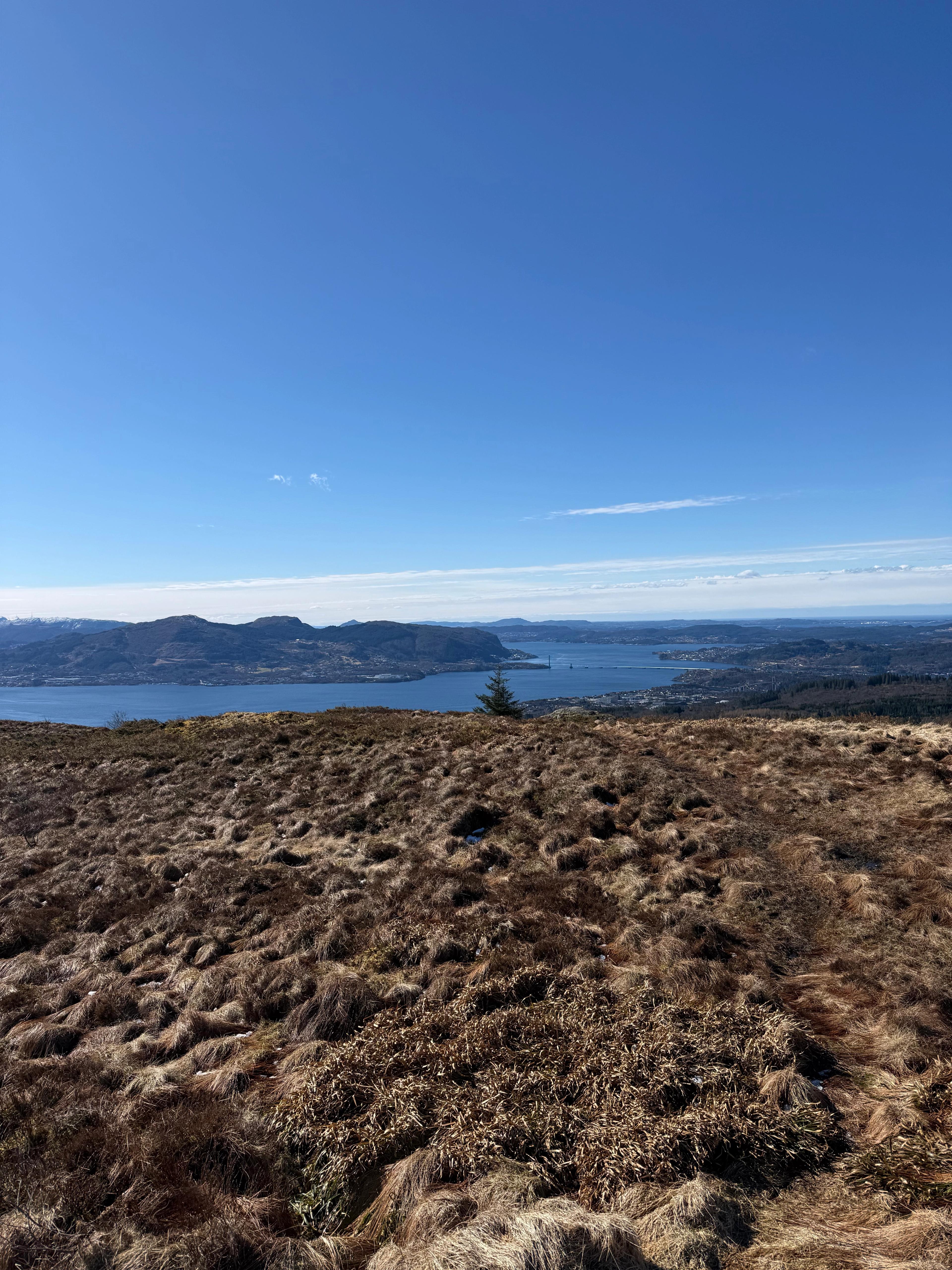 Gressdekt og tuete topp med utsikt over en fjord med Nordhordlandsbrua og en fjellrygg på andre siden.