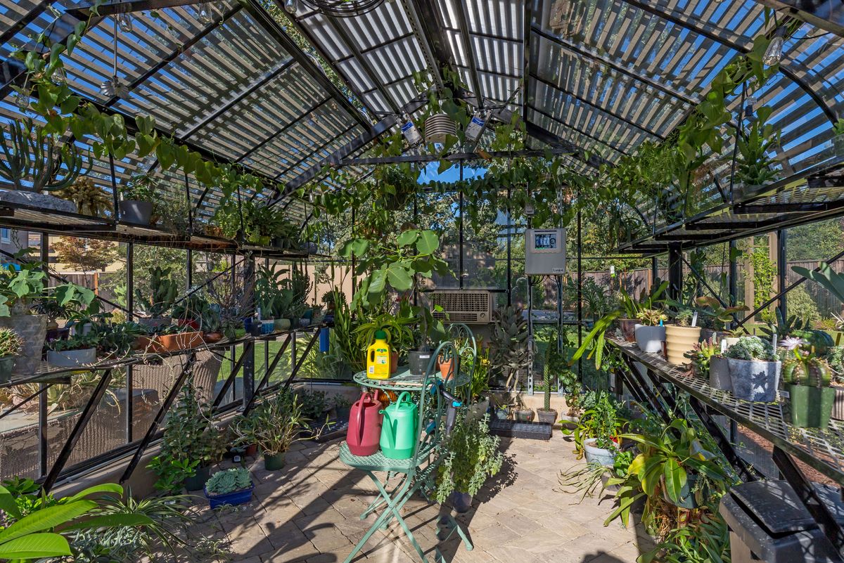 Morgan Hill | Backyard Oasis · photo 12