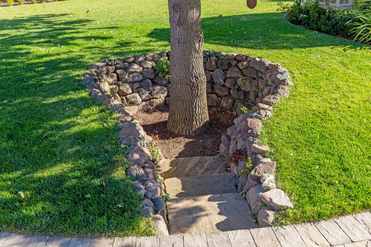 Morgan Hill | Backyard Oasis · photo 28
