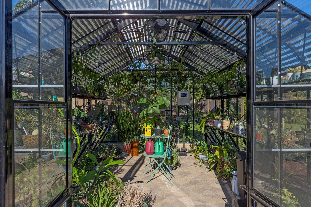 Morgan Hill | Backyard Oasis · photo 13