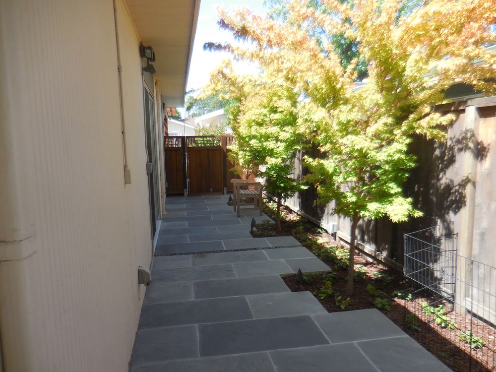 Palo Alto | Backyard Garden — photo 4