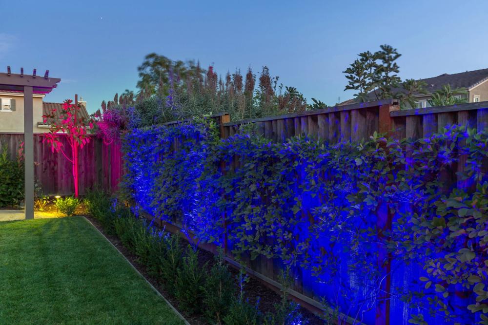 Morgan Hill | Backyard Oasis — photo 31