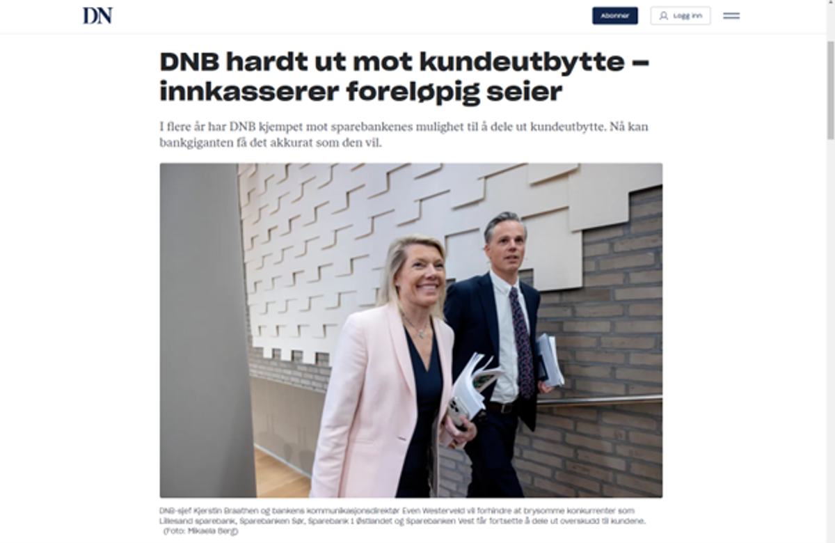 Skjermbilde av artikkelen fra Dagens Næringsliv