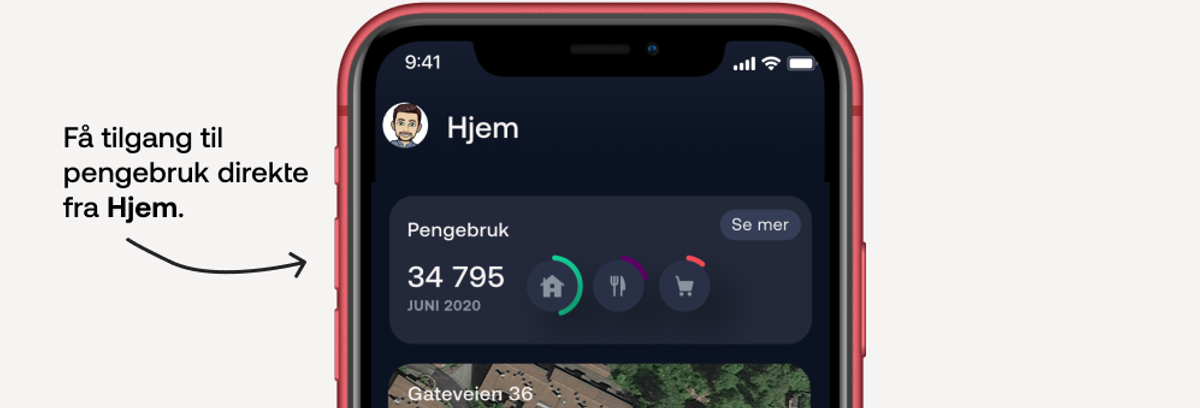 Pengebruk i Bulder-appen