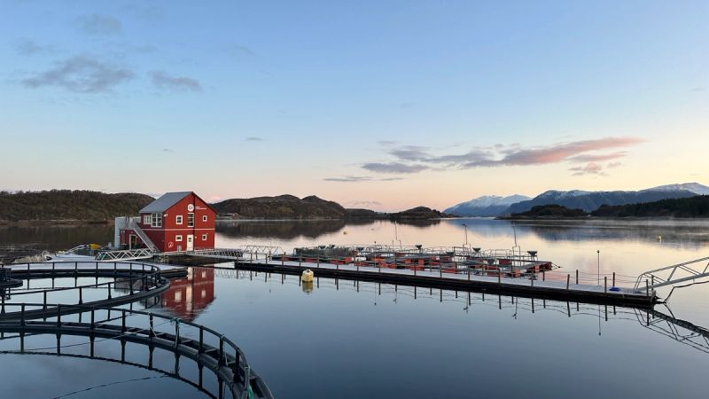 visningsenter