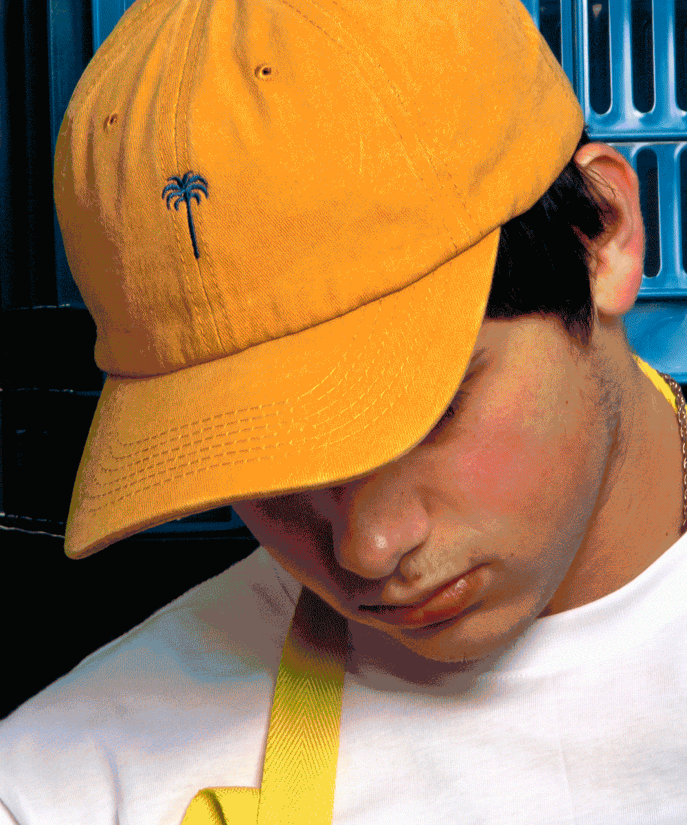 DALIMA