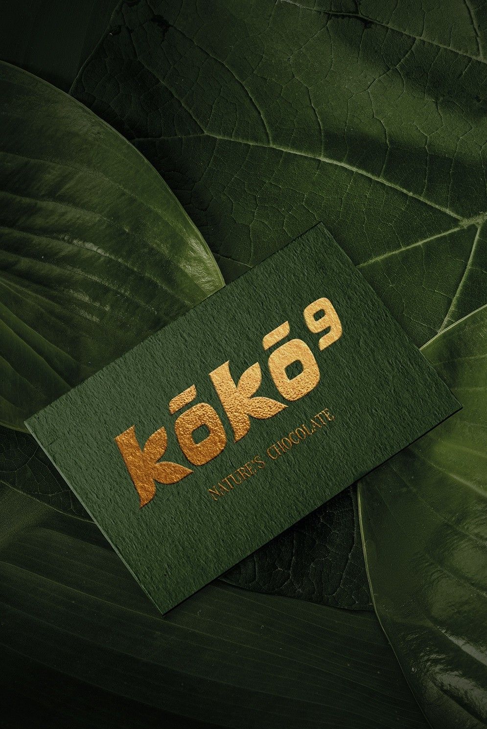 KOKO 9