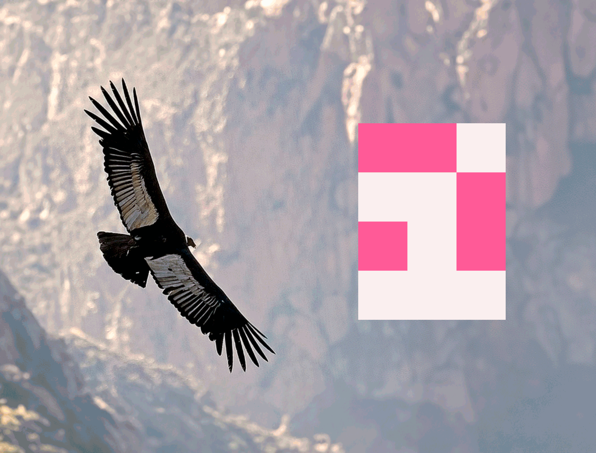 El Branding como Cultura e Identidad local