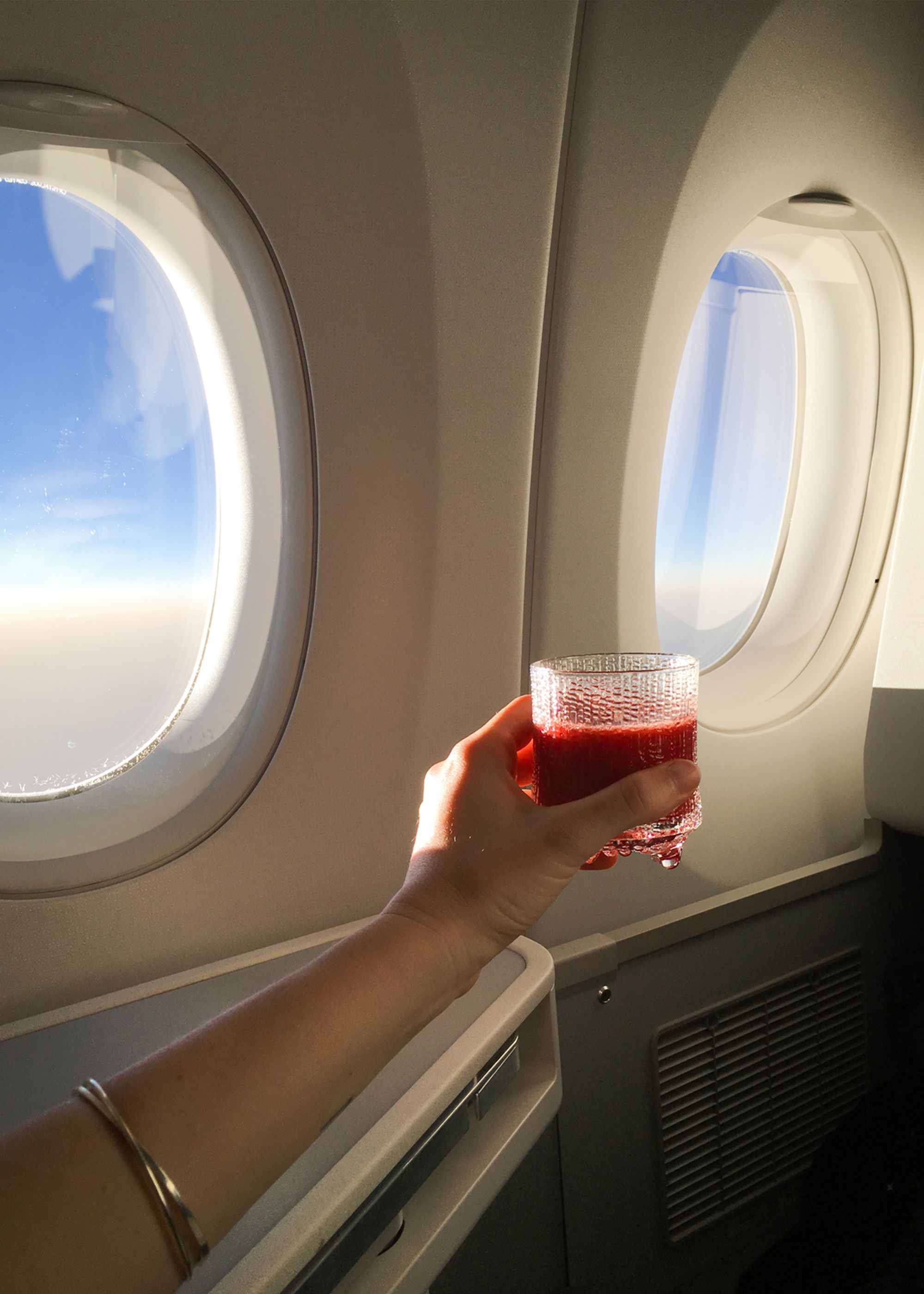 What to Eat on a Long-Haul Flight – Bed Threads