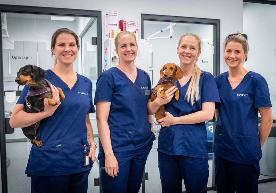 dyreklinikk drammen