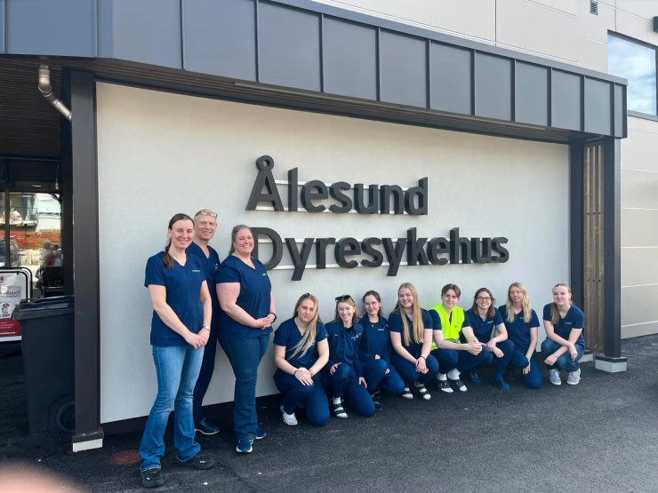 Mange av de ansatte var i sving på åpningsfesten sist lørdag. Foto: Hilde Hovik