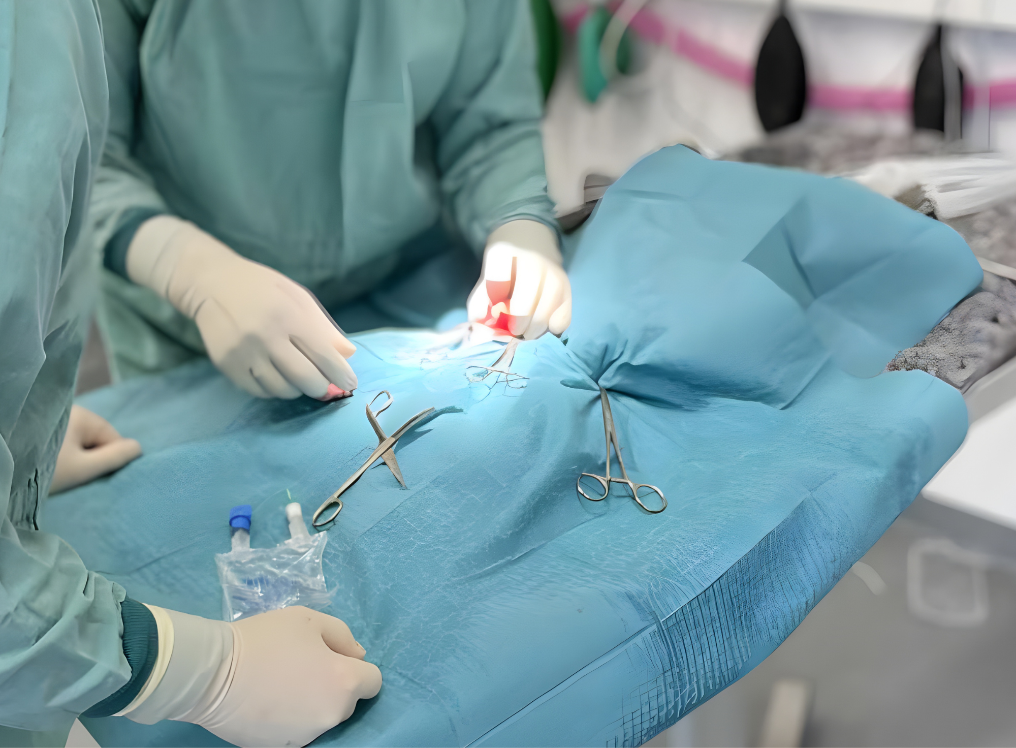 To veterinærer i grønn operasjonsbekledning samarbeider under en operasjon på dyresykehuset.