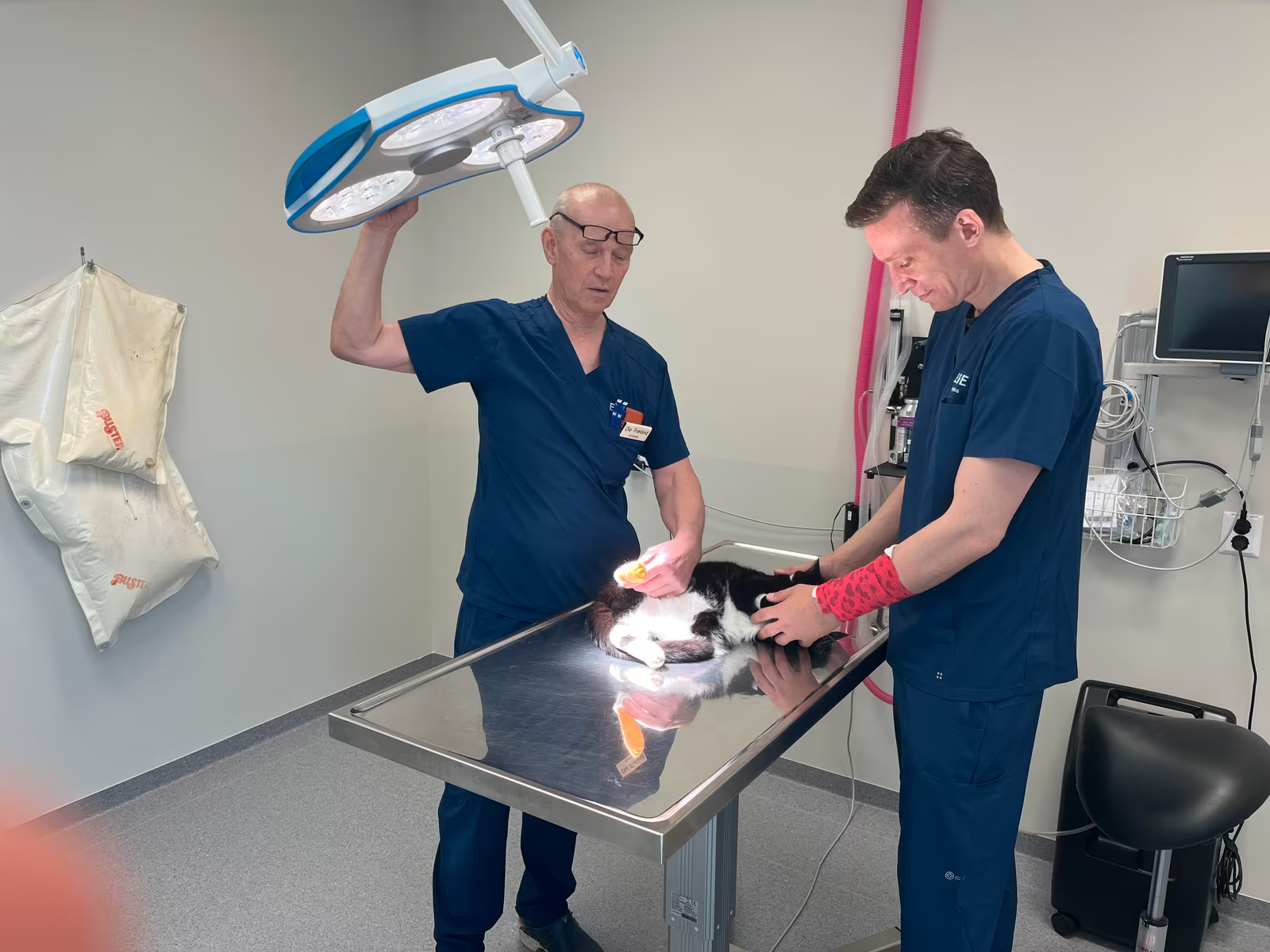 Ole Frøland og Gustav Evensen med den eneste pasienten som var innlagt på åpningsfesten. Denne katten måtte amputere ei tå.