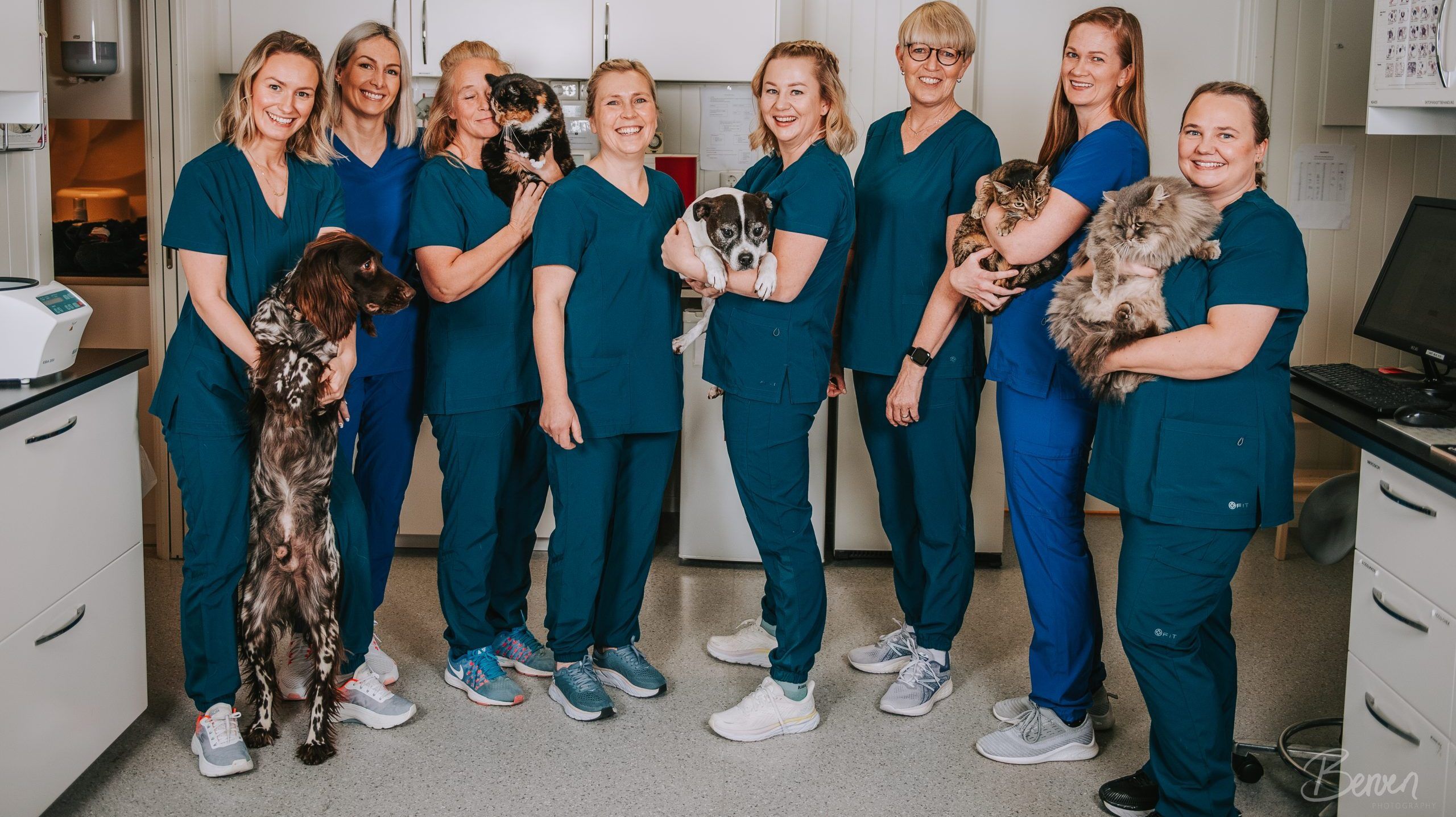 dyrlegene på hadeland