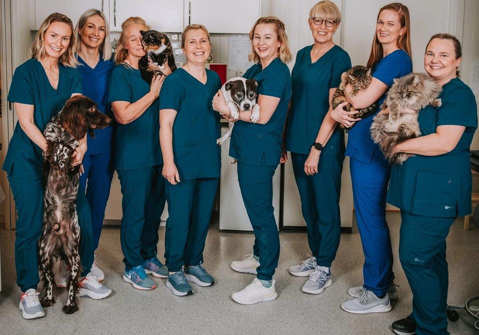 dyrlegene på hadeland