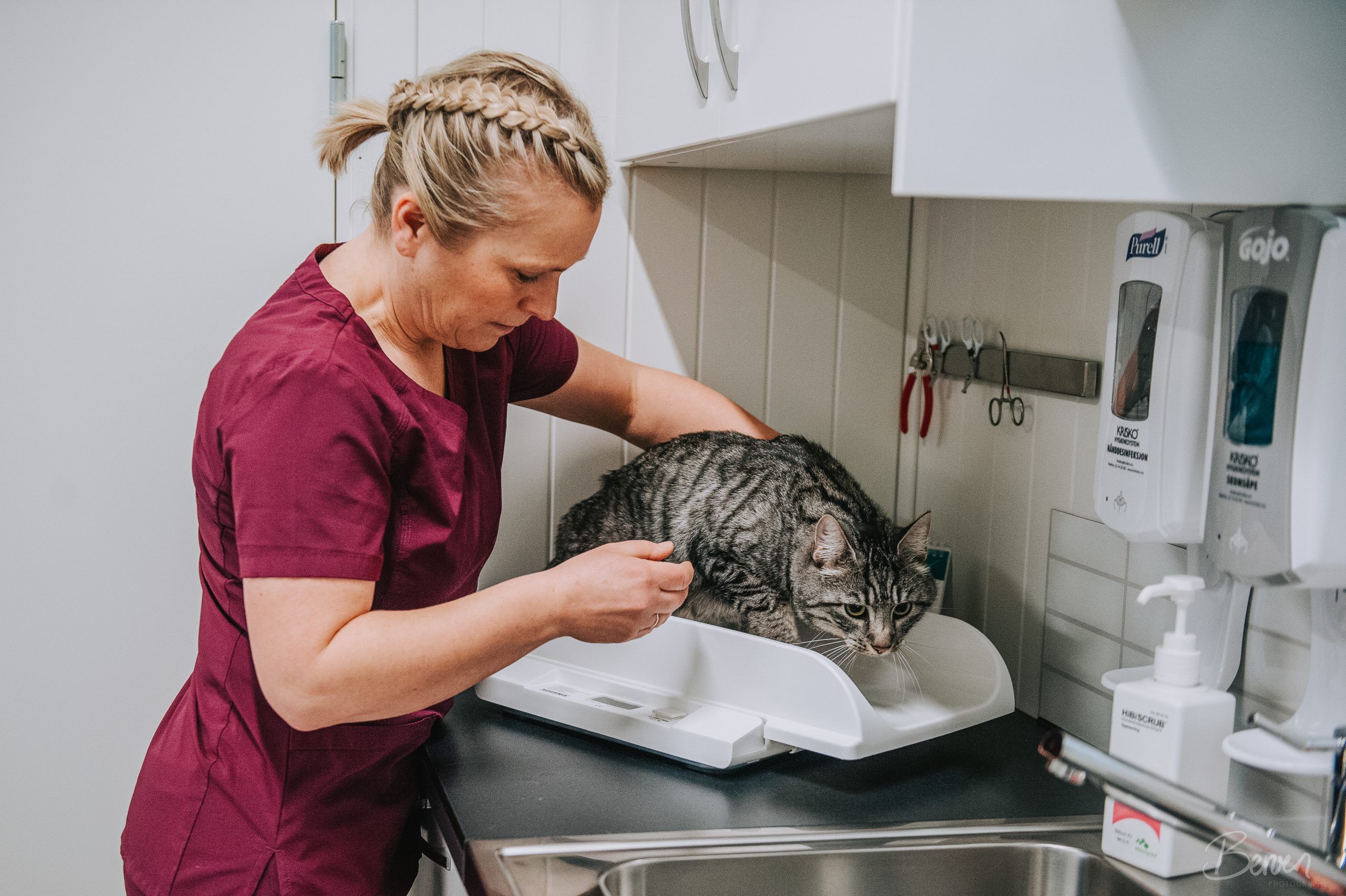 Katt og eier hos veterinær 