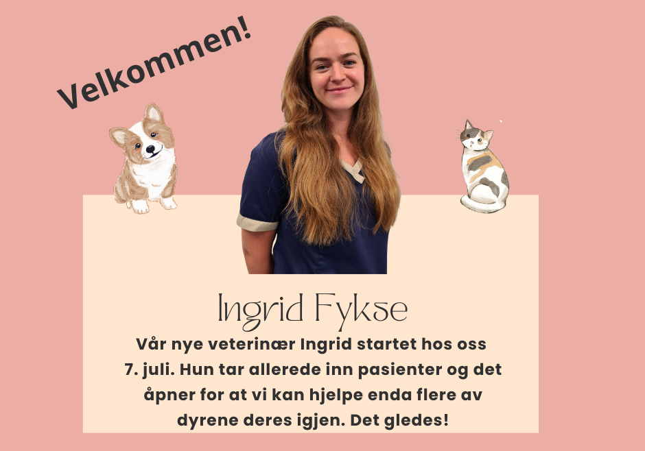 Ingrid Fykse