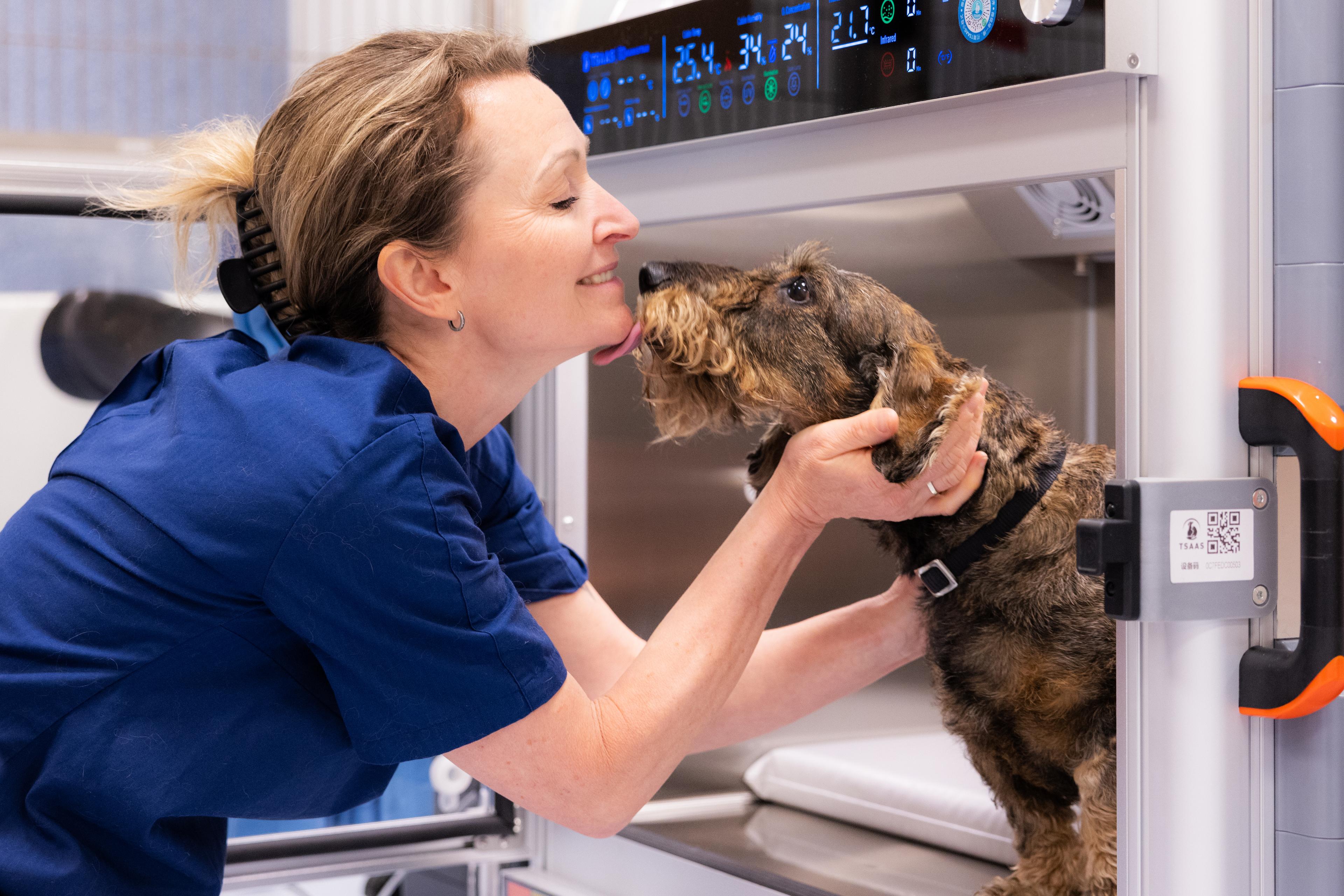 Veterinær og hund har en koselig stund etter en undersøkelse