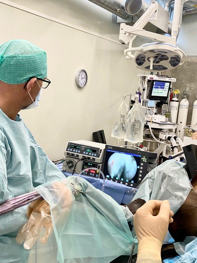 artroskopi haseledd på hest