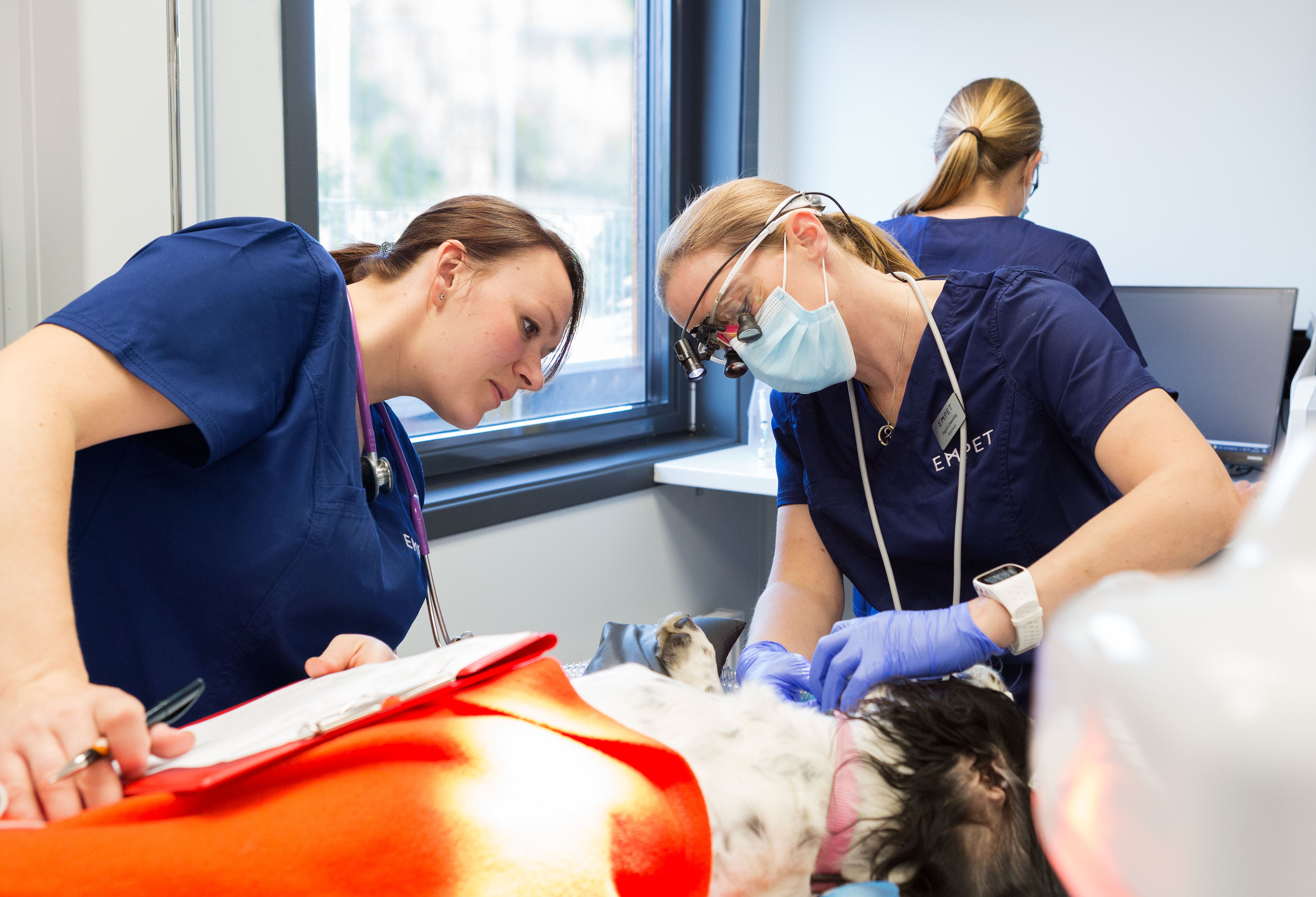 empet ullensaker undersøkelse 