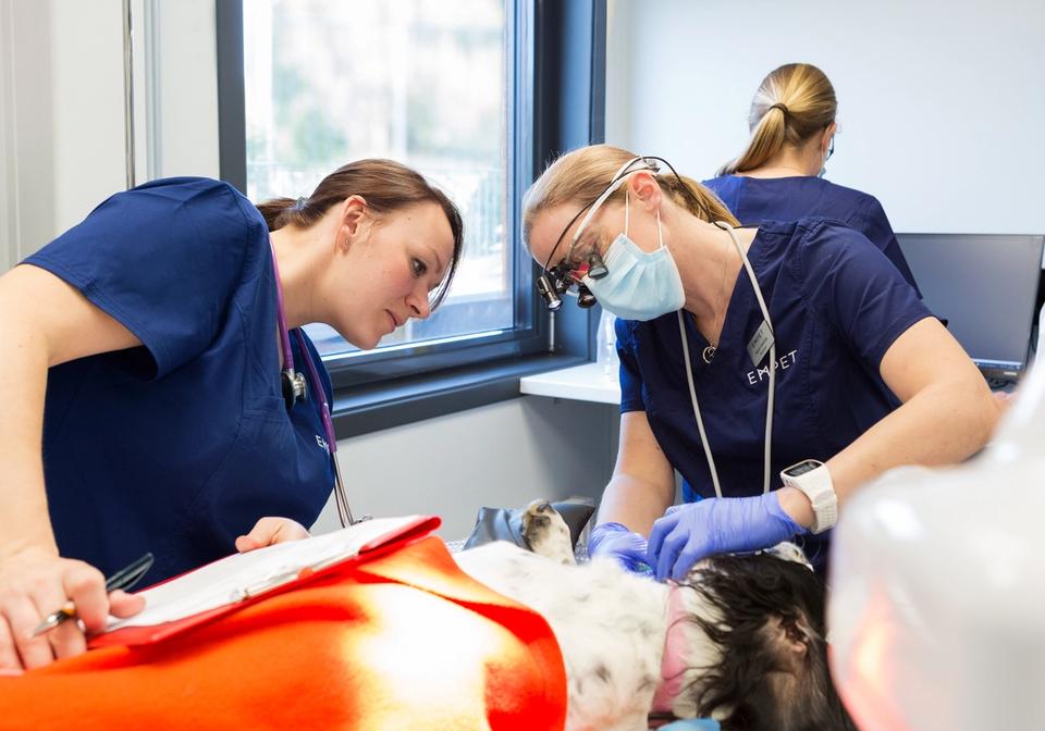 empet ullensaker undersøkelse