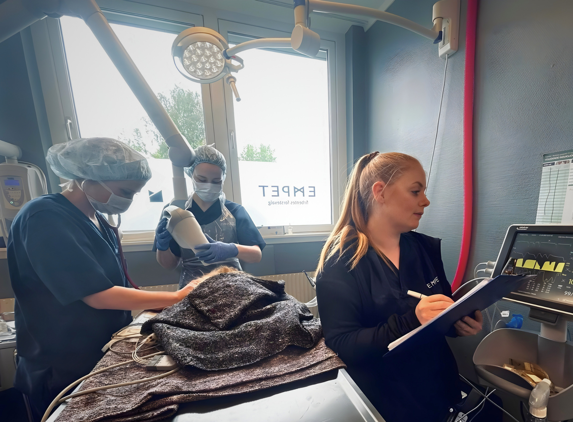 Dyrepleiere og veterinærer ved EMPET Askim samarbeider i behandlingsrommet under en pasientbehandling.