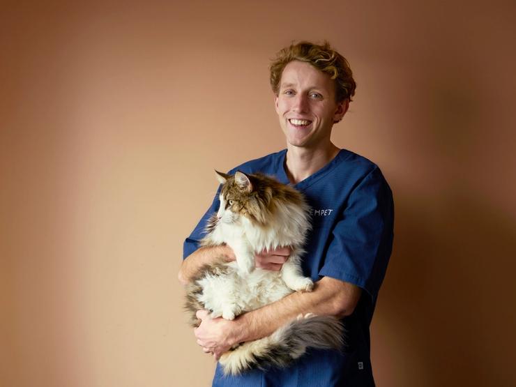 Katt som blir båret