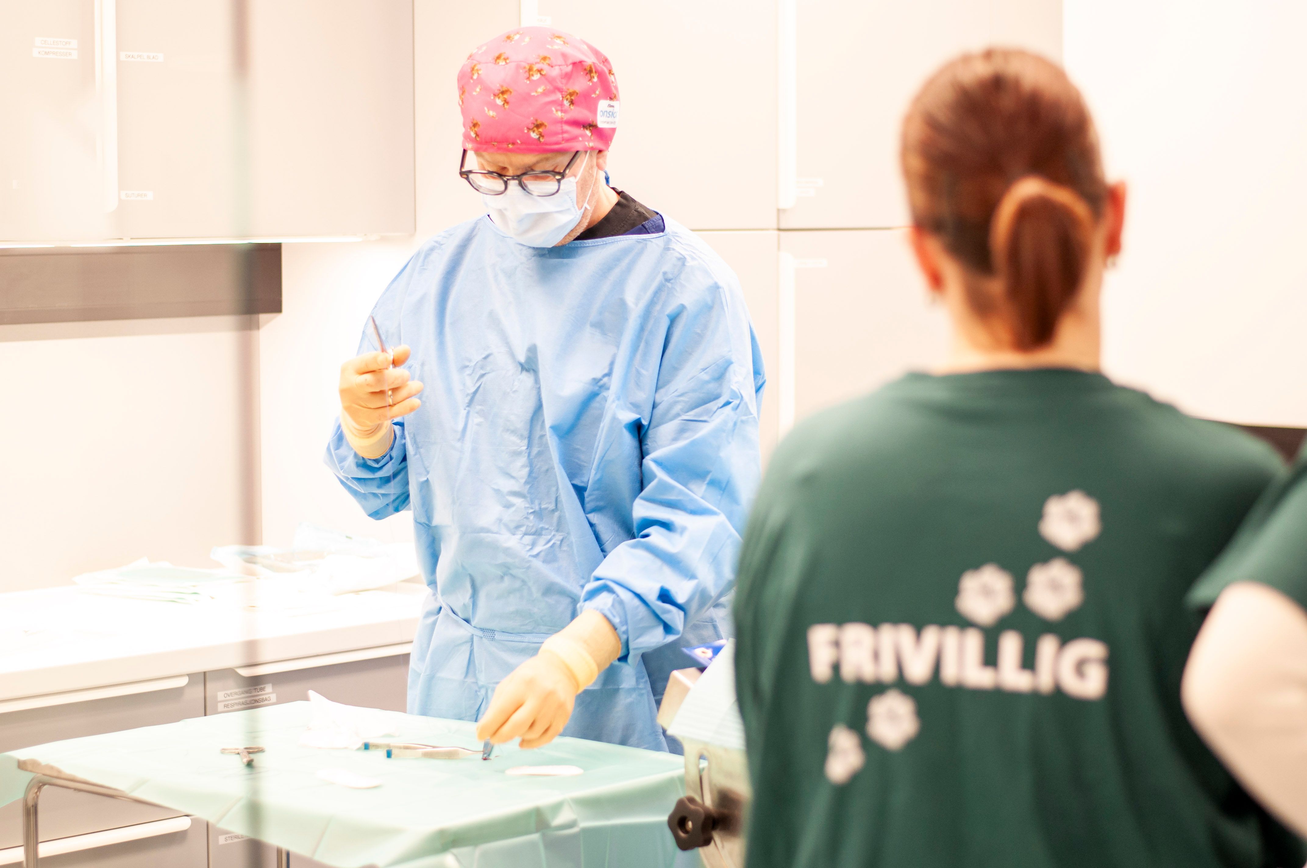 Casper Hoelstad forbereder operasjonsutstyr sammen med frivillig fra Dyrebeskyttelsen under kastreringsaksjon ved EMPET Holstad.