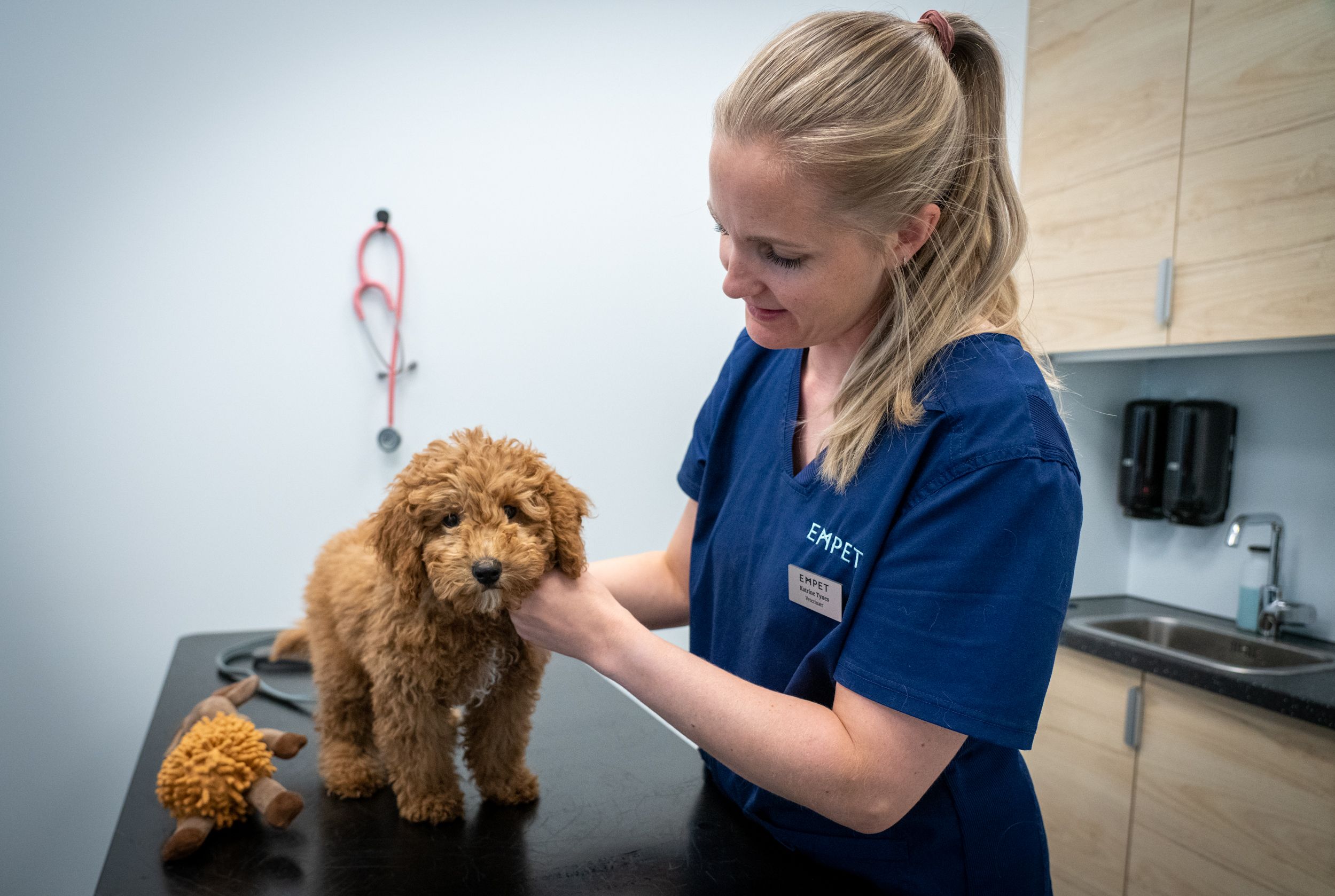 valpekontroll drammen