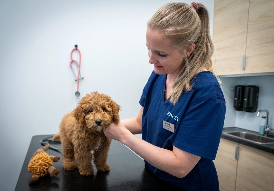 valpekontroll drammen