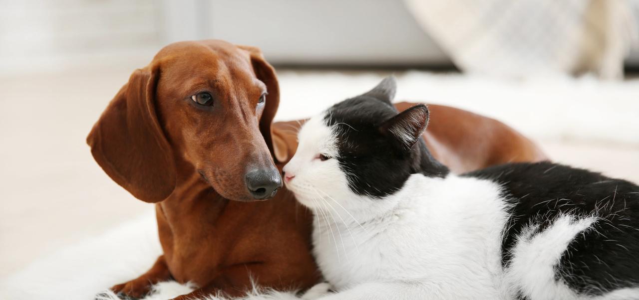 Vaksinekampanje i mars og april 2026