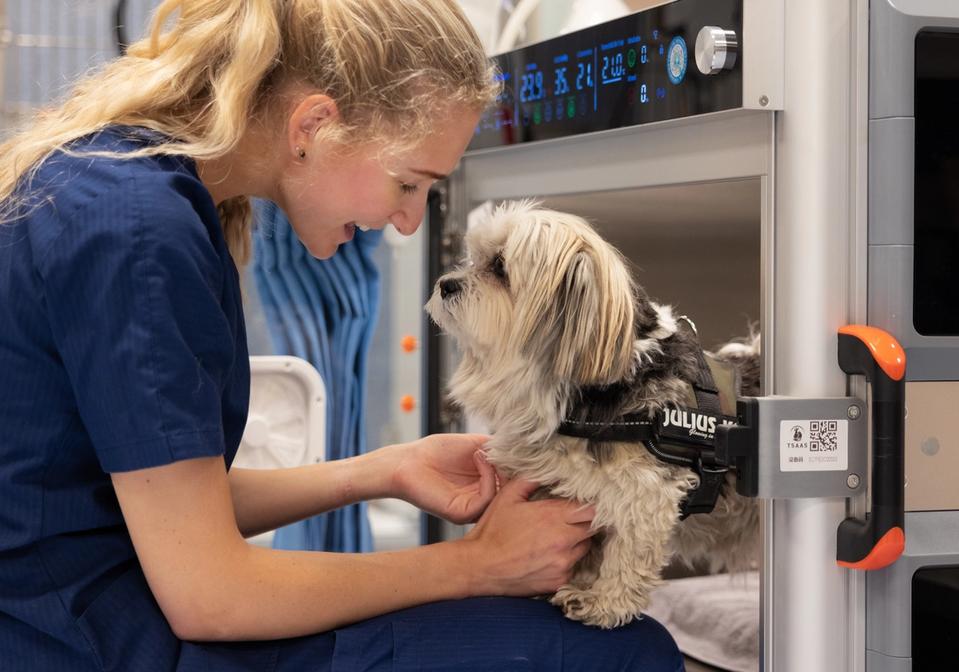 empet nydalen burrom