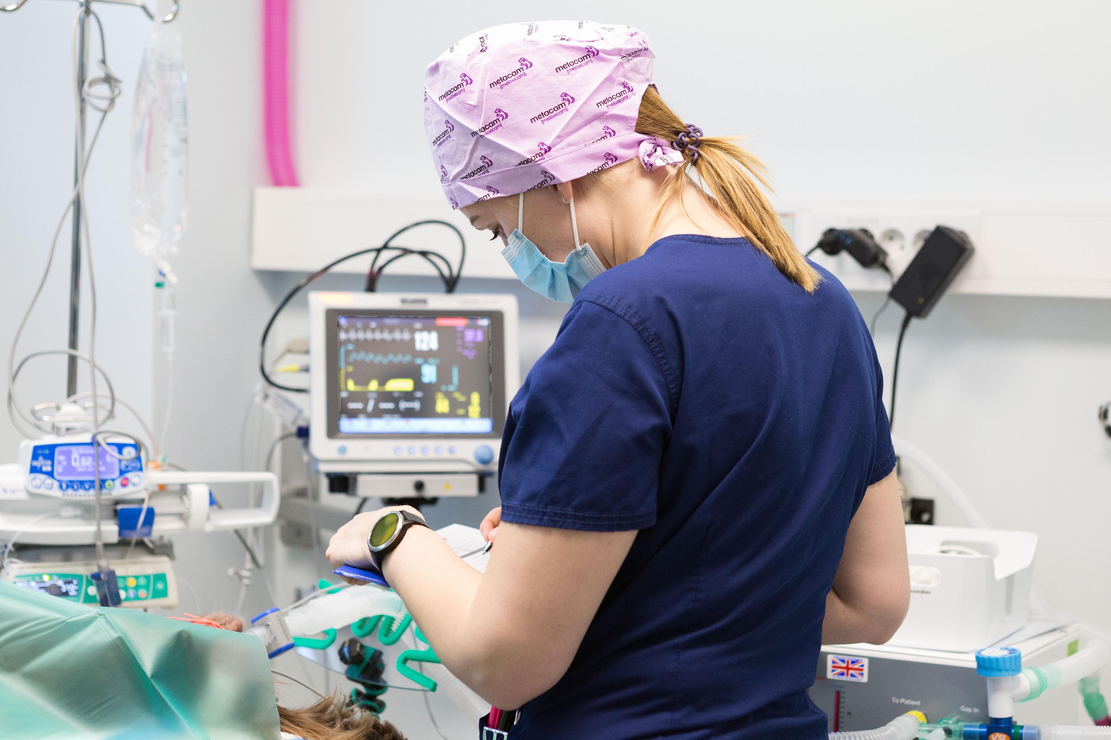 Veterinær overvåker et dyr under narkose på en moderne dyreklinikk, med avansert anestesiutstyr.