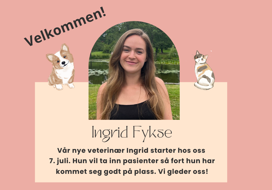 Ingrid Fykse
