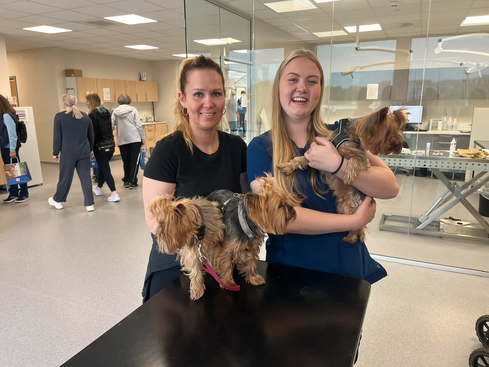 Lena Lystrup t.v. og de tre yorkshire-terrierne Ynwa, Rubi og Nemi er faste kunder hos assistent Lise Lade og resten av de ansatte på dyresykehuset. De nye lokalene har blitt både lyse og luftige. Foto: Hilde Hovik